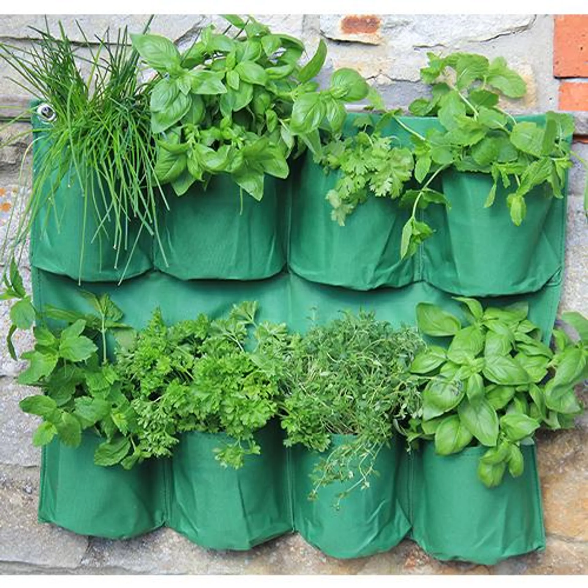 Herb Wall Garden