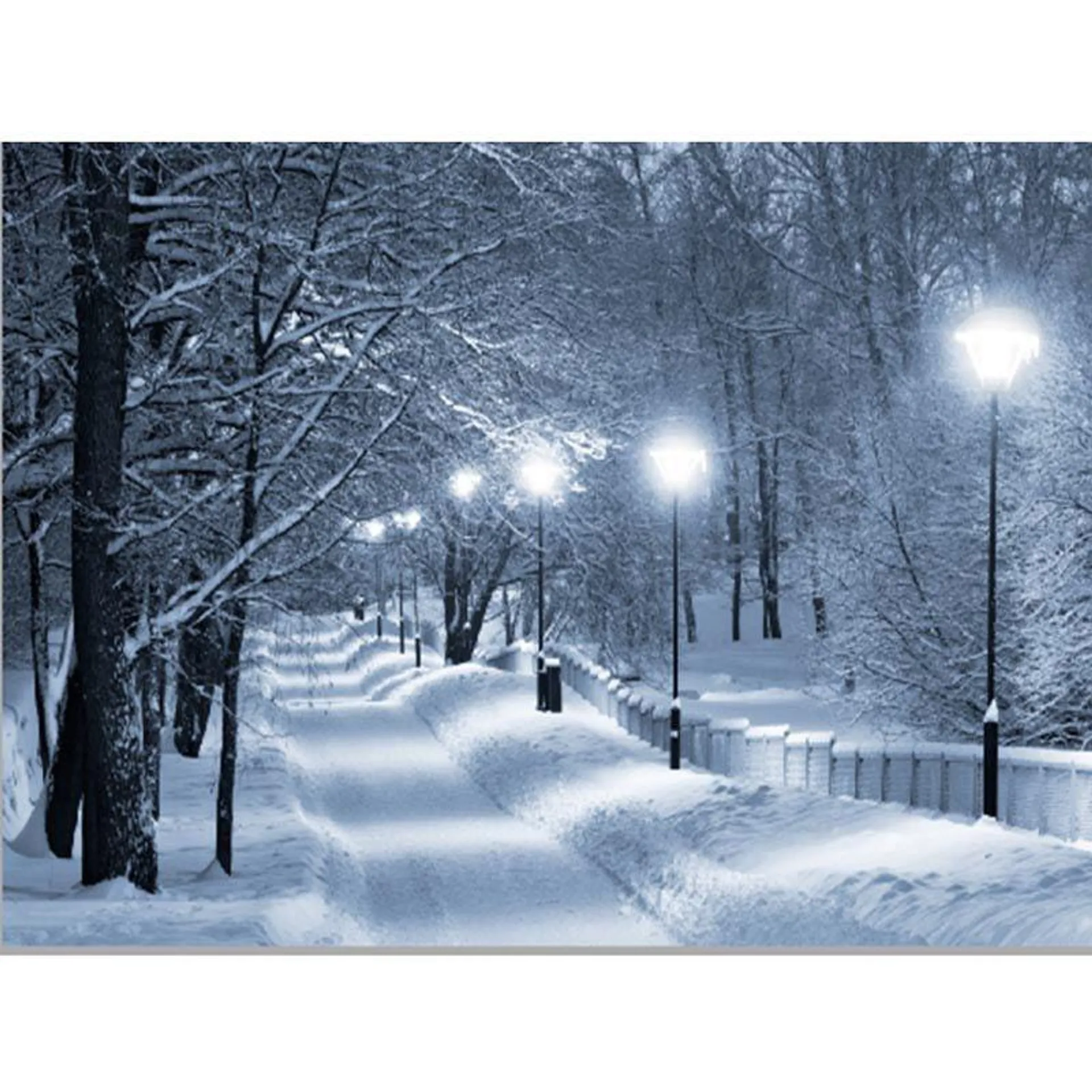 Battery Operated Fibre Optic Lamplit Snowy Lane Canvas