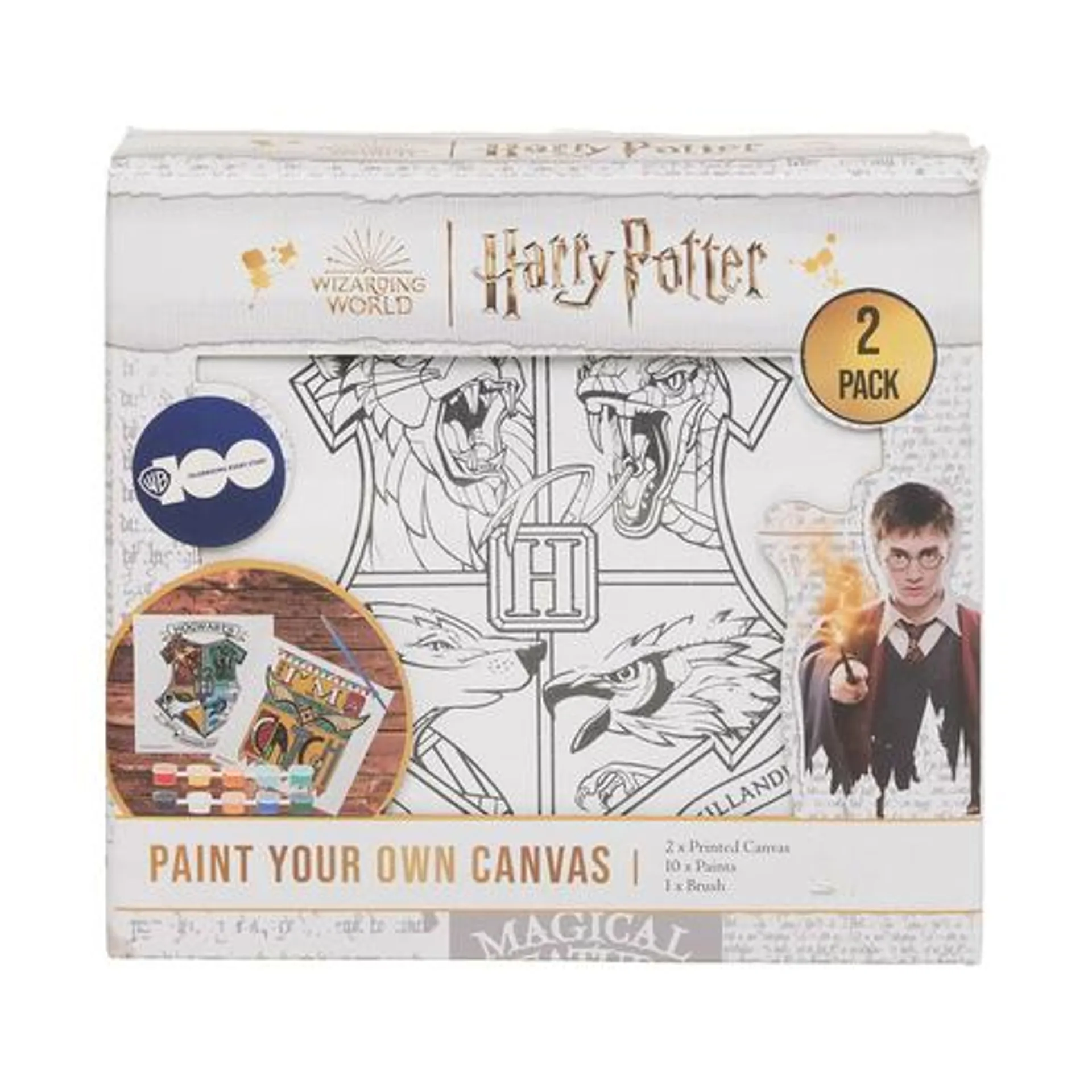 Harry Potter Canvas And Paint Set