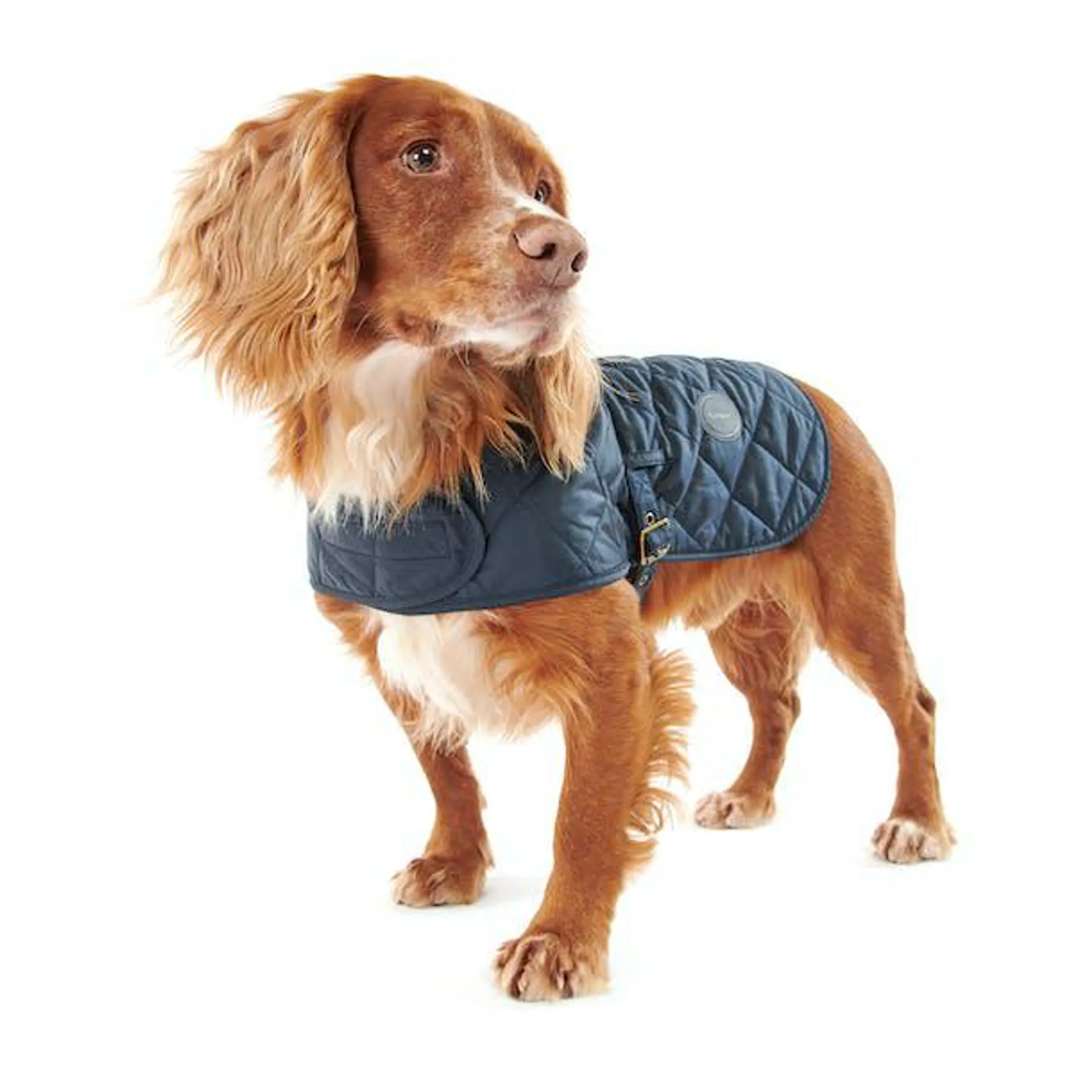 Barbour Quilted Dog Jacket