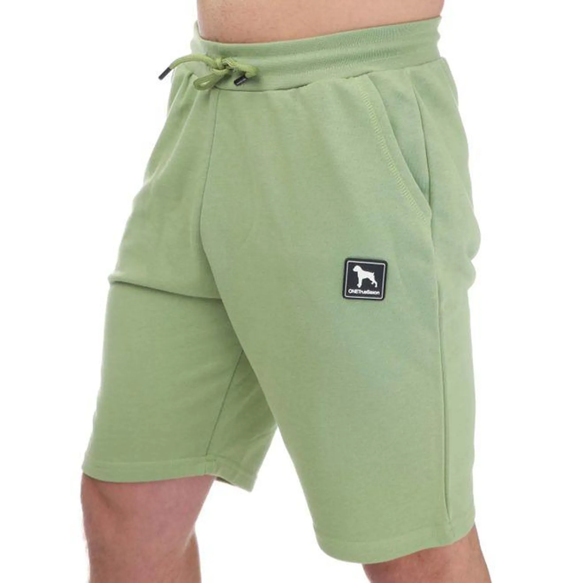 One True Saxon Mens Dixon Shorts in Green