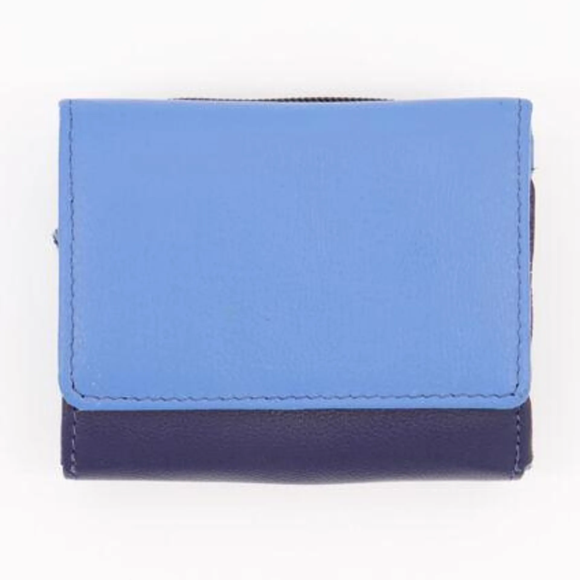 Blue & Navy RFID Protected Purse