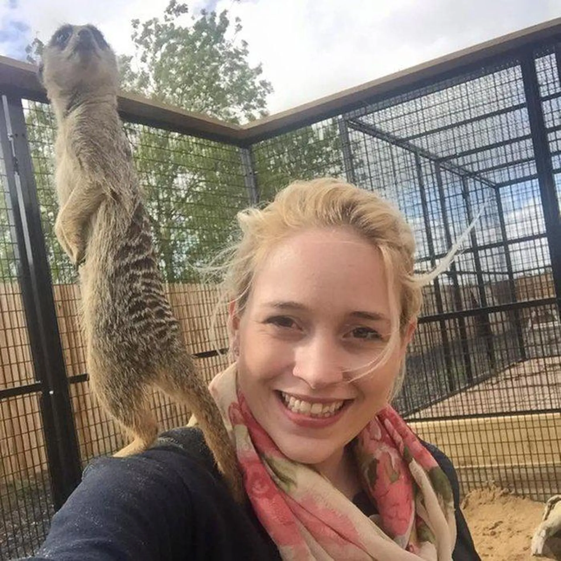 2 for 1 Meet the Meerkats at The Animal Experience