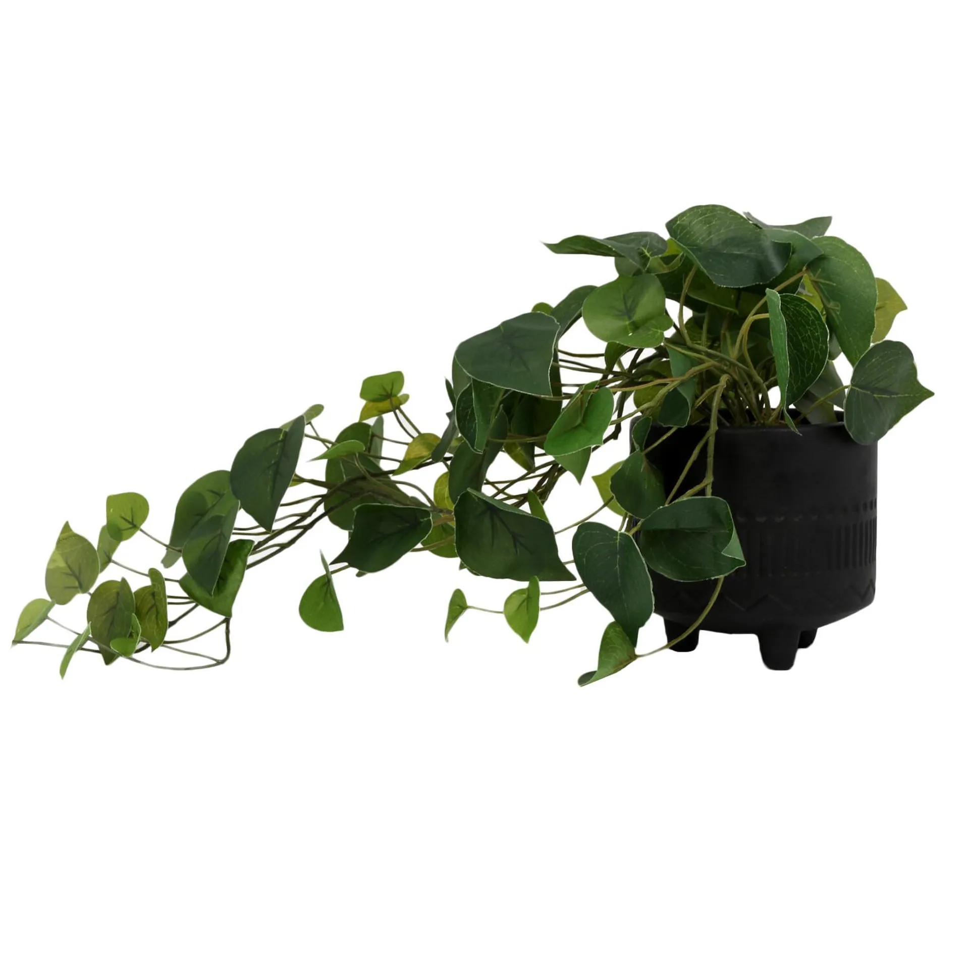 Ivy Artificial Plant in Black Footed Pot