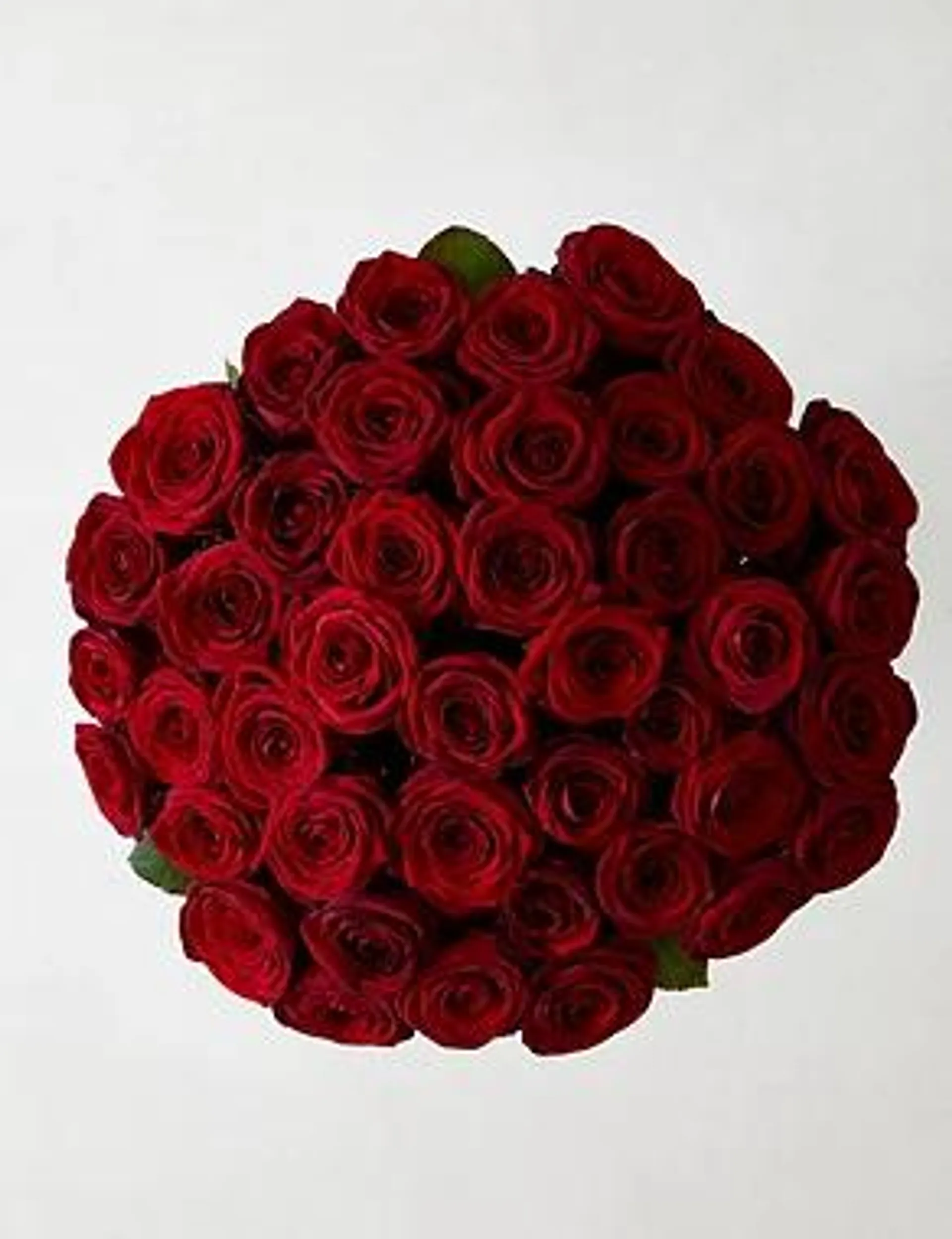 A Bed of Red Roses Bouquet (Delivery from 9th February 2023)