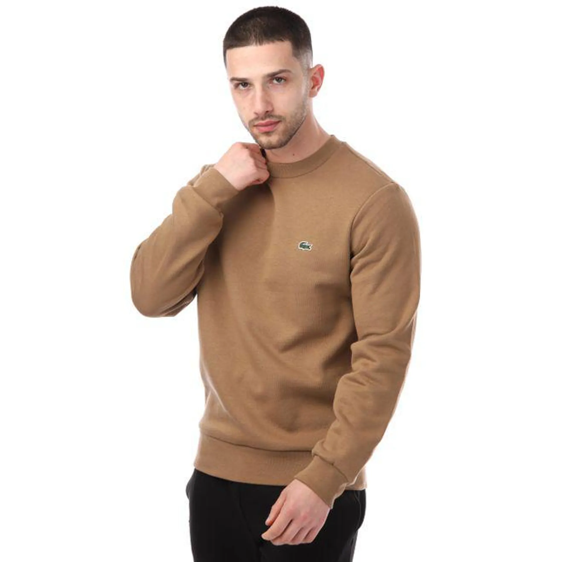 Lacoste Mens Organic Brushed Cotton Sweatshirt in Brown
