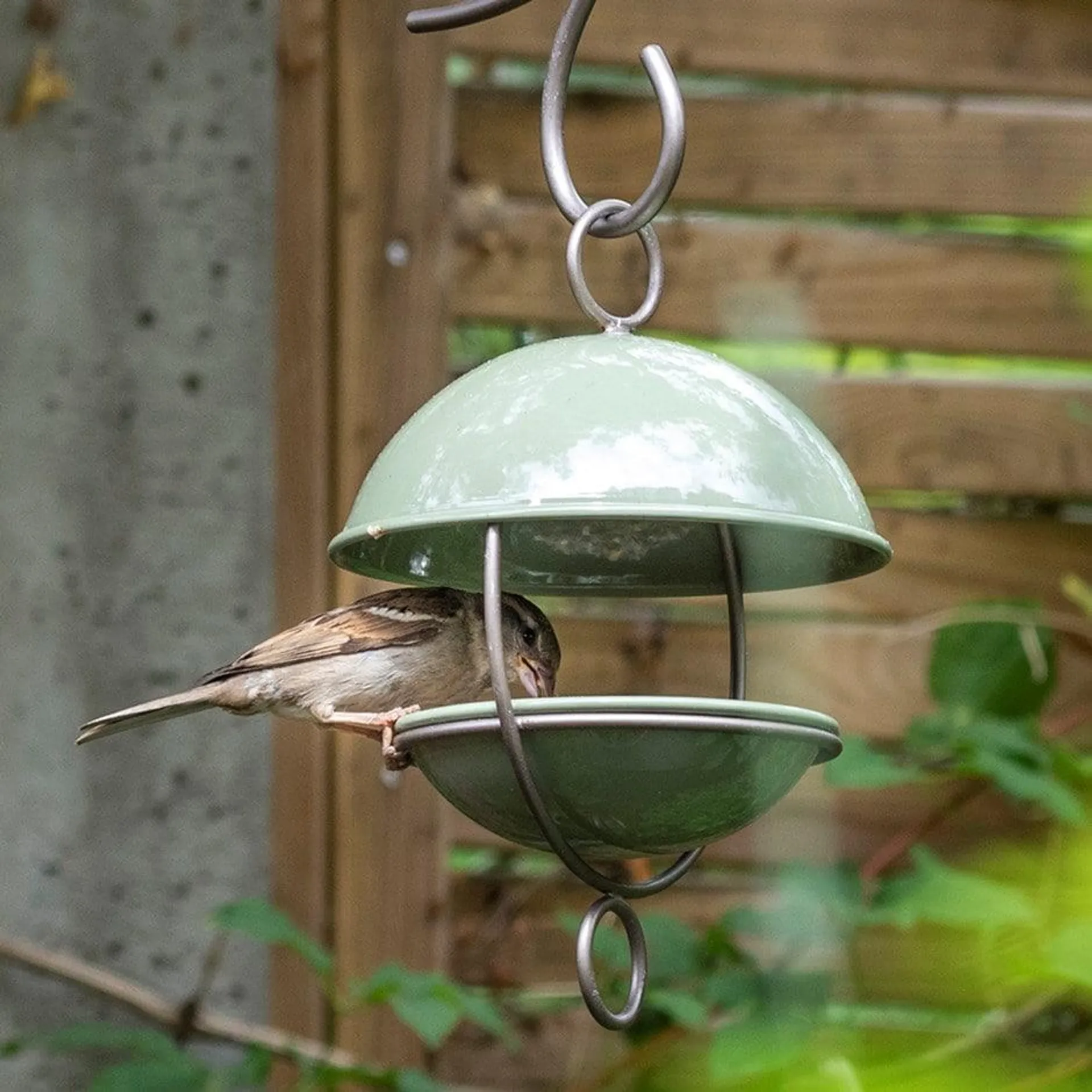 Crocus green satellite bird seed feeder