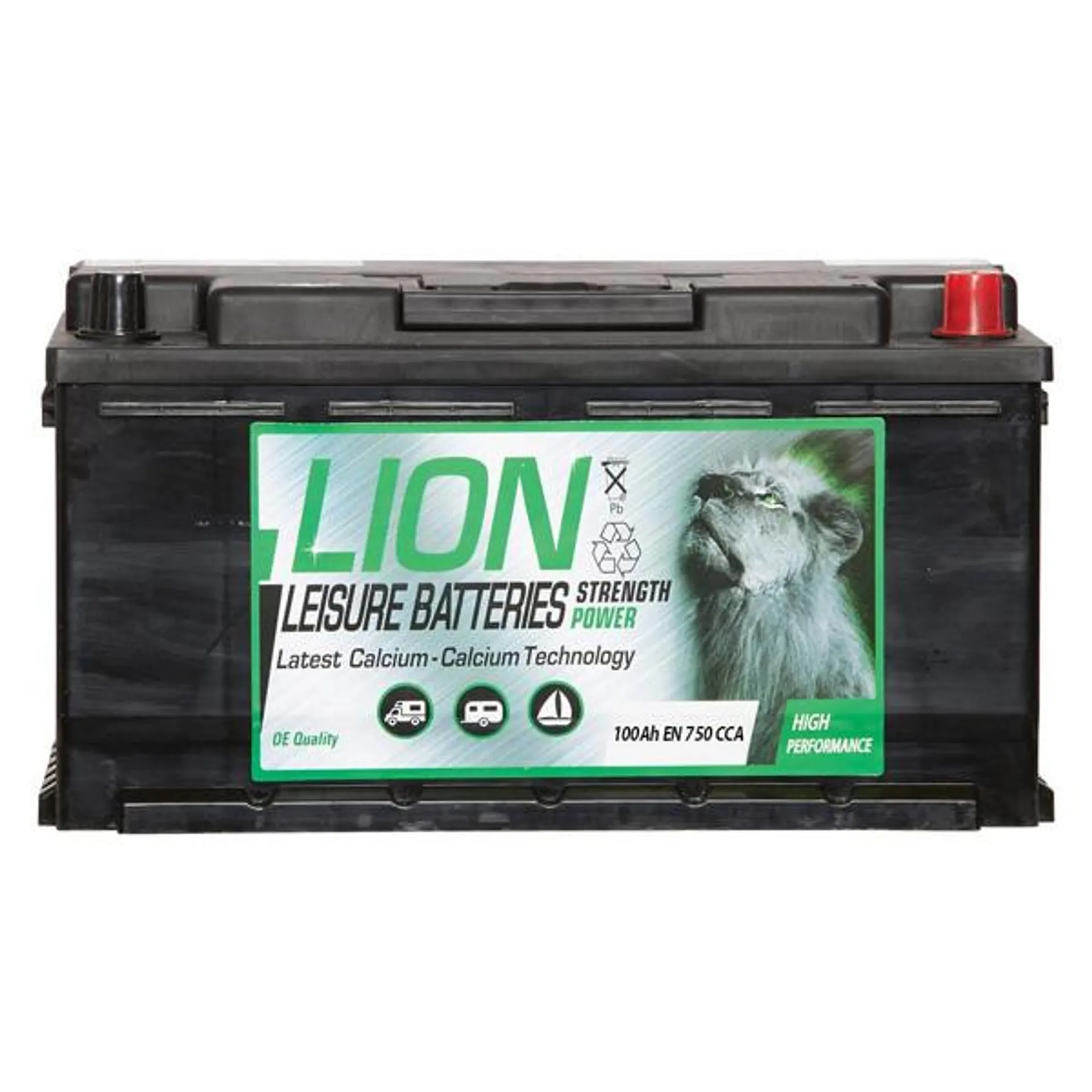 Lion Leisure Battery 100Ah Low Box