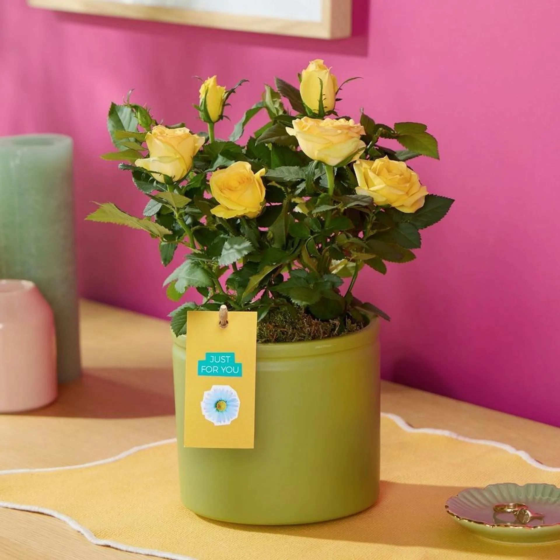 Yellow Rose Ceramic - Plant Of The Month