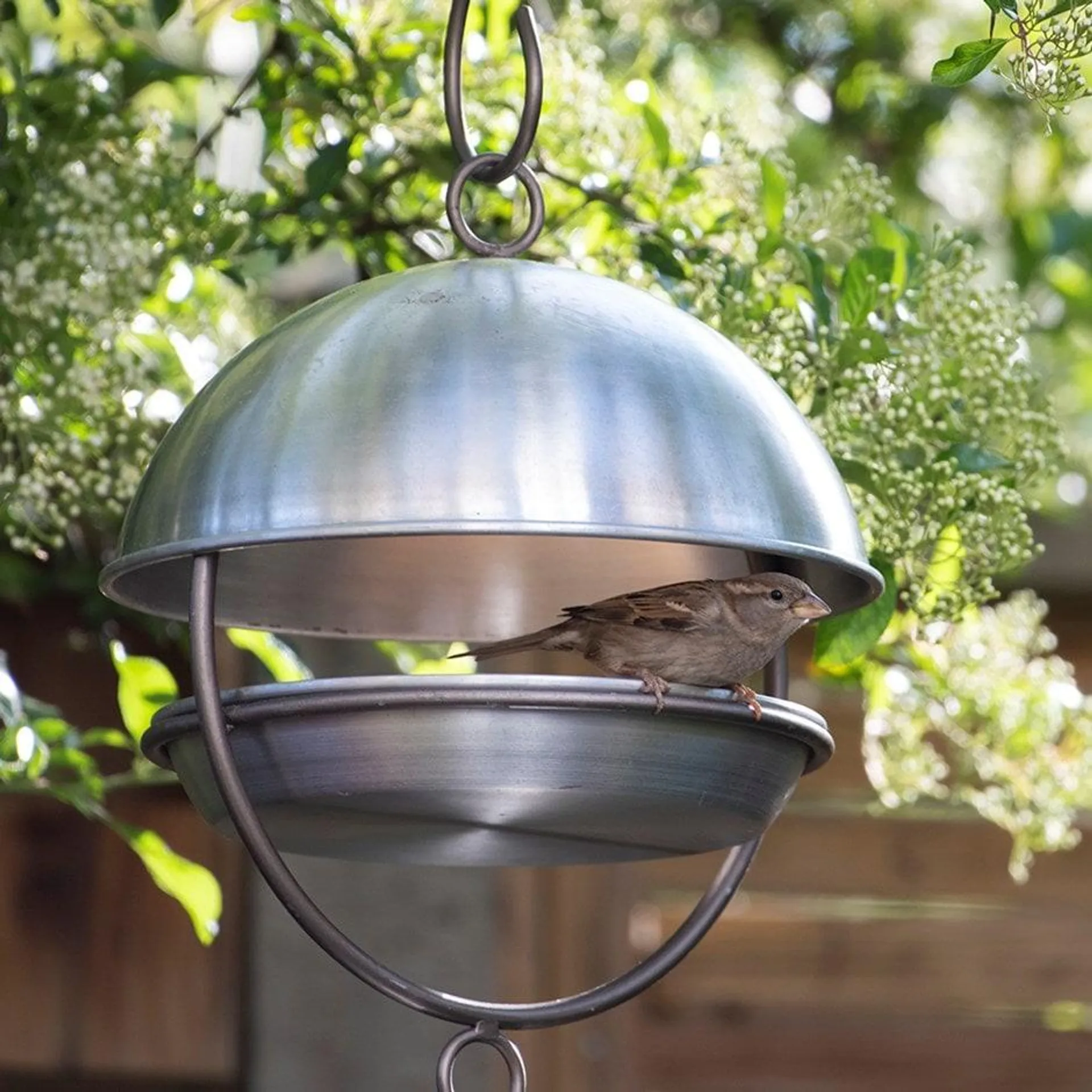 Brushed aluminium hanging bird feeding dome