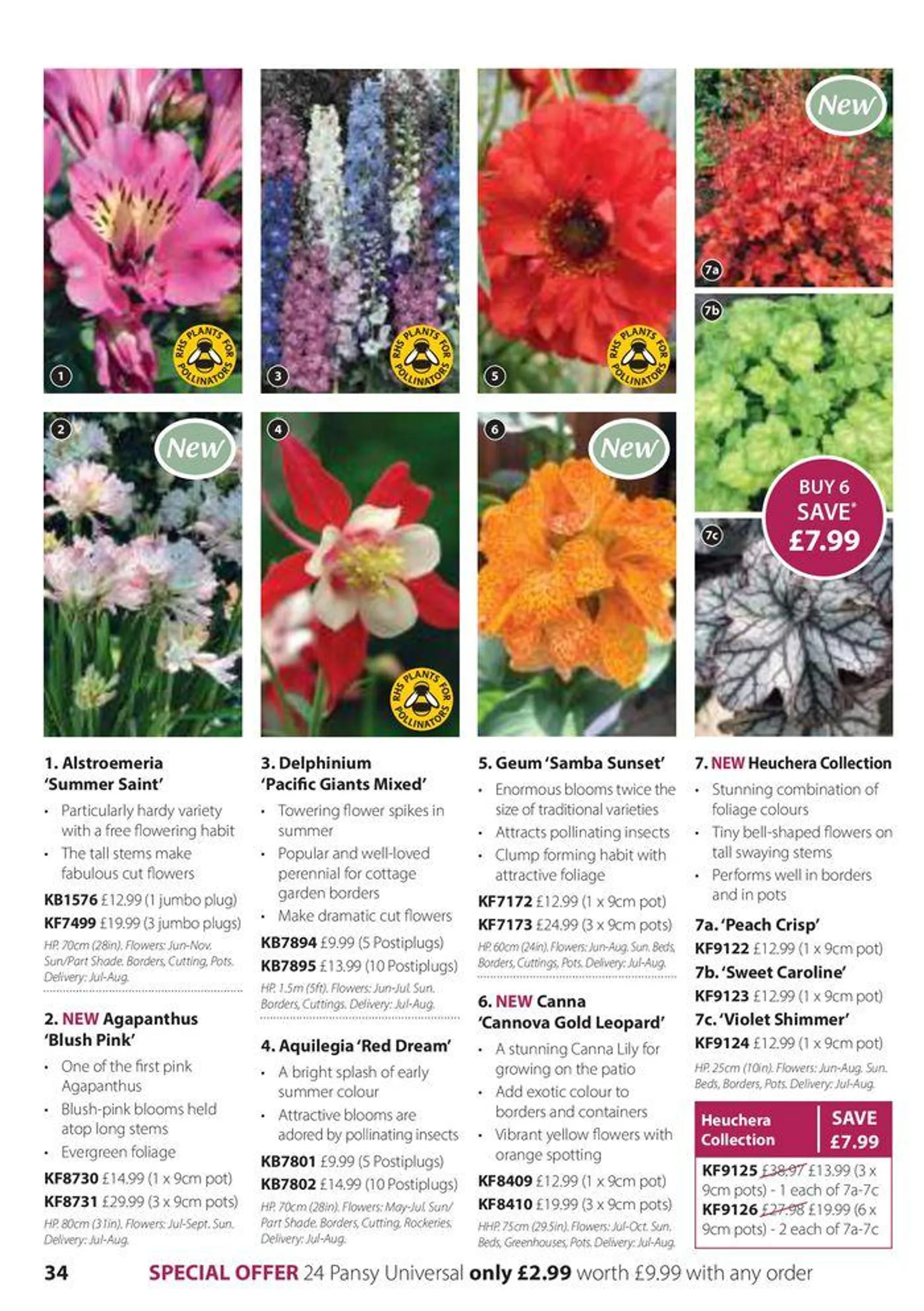 Autumn Catalogue from 1 September to 30 November 2024 - Catalogue Page 34