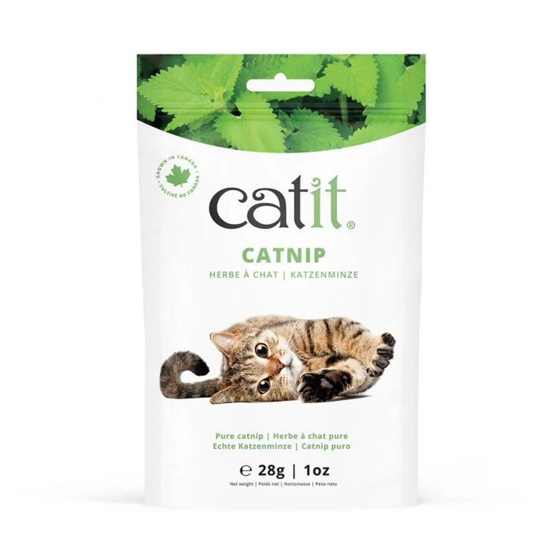 Catit Catnip 28g