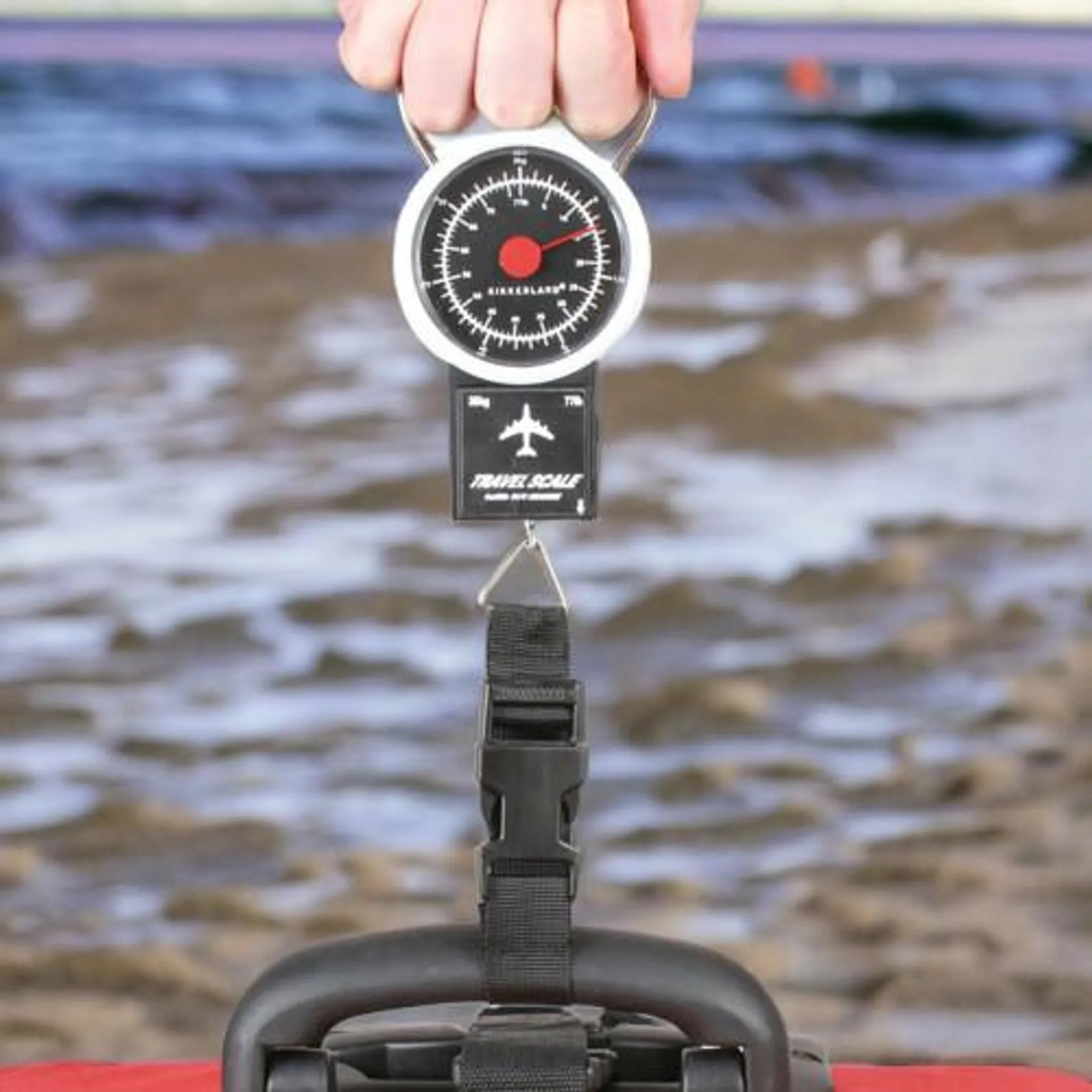 Portable Travel Scale