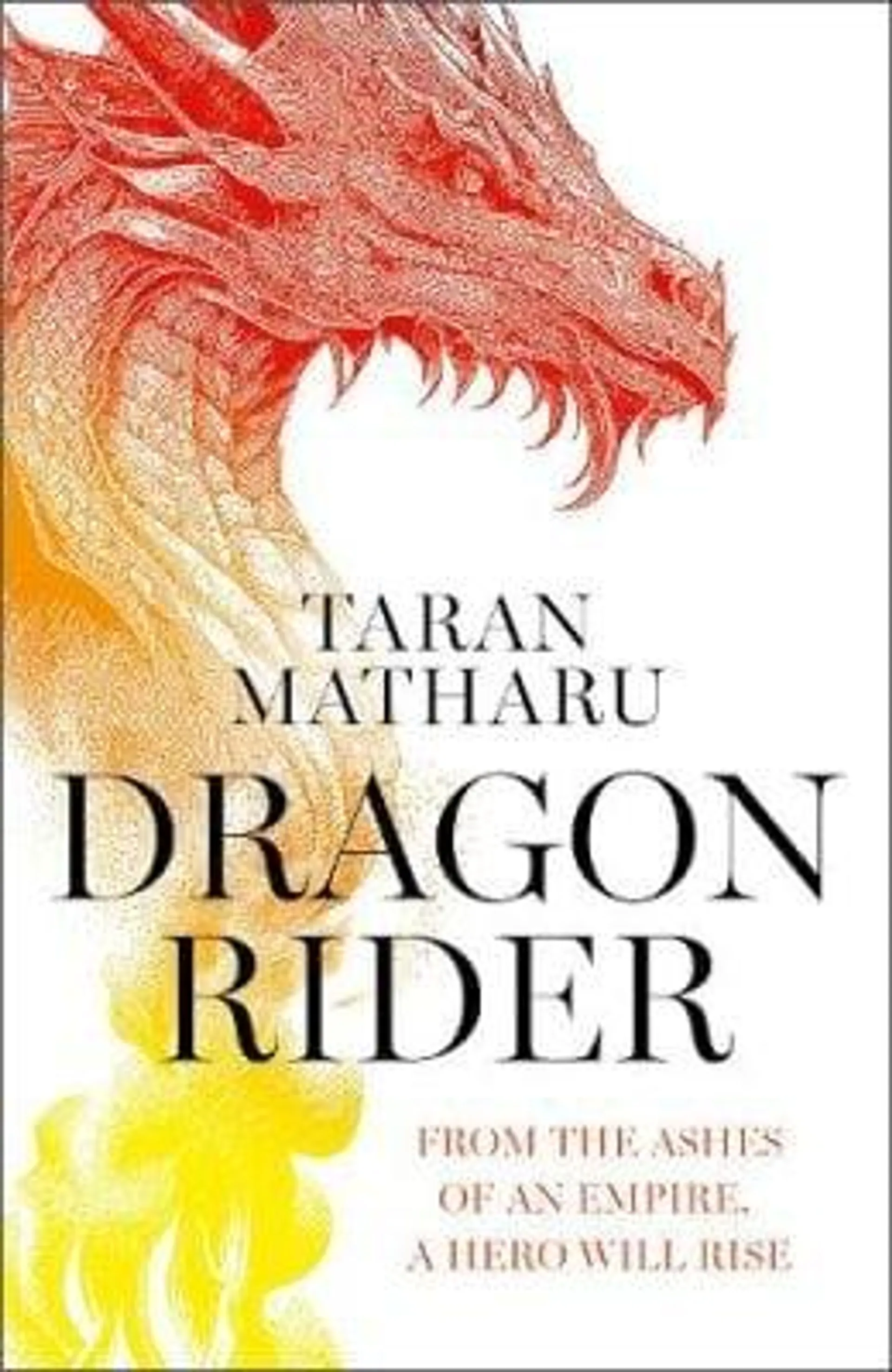 Dragon Rider (Hardback)