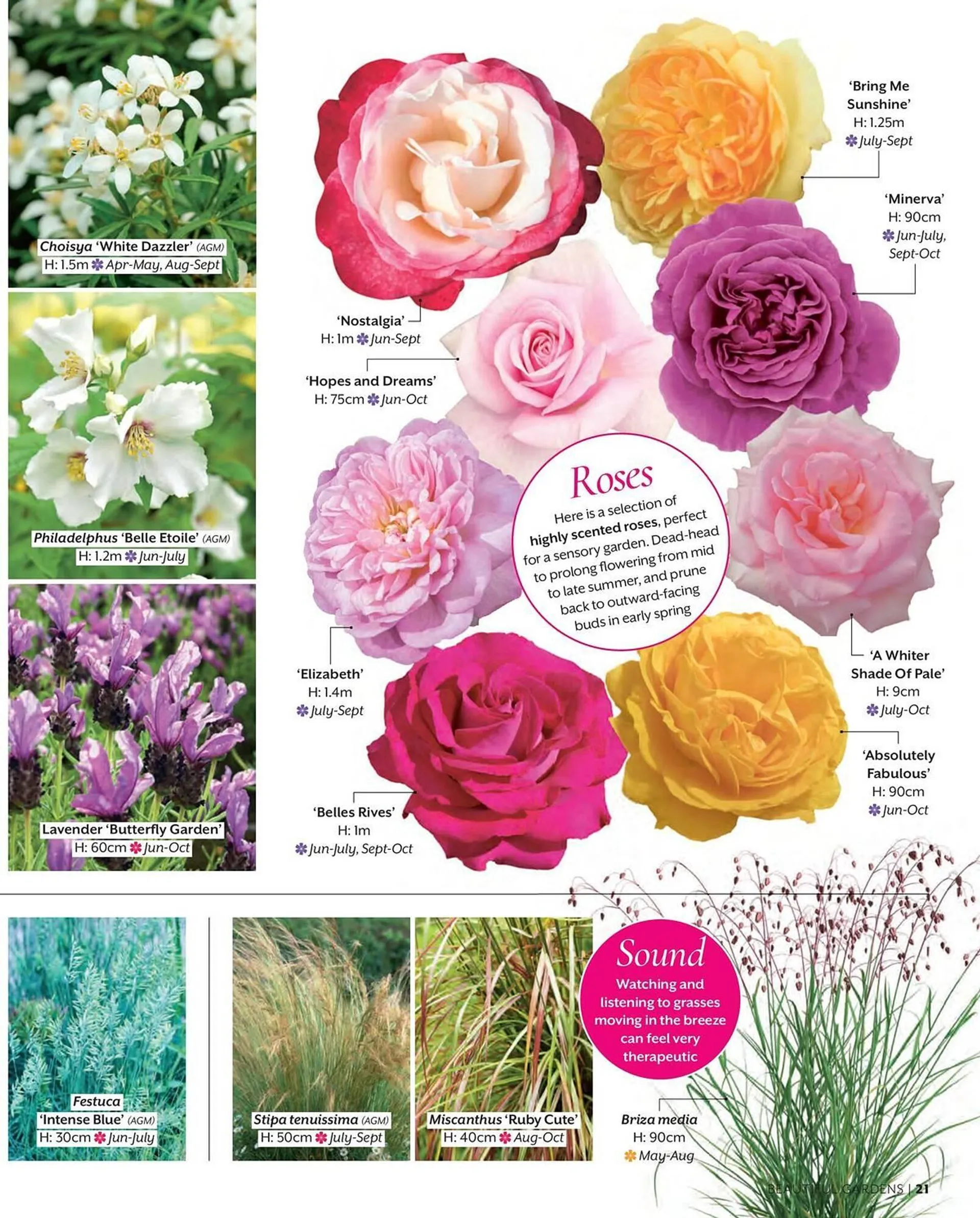 Frosts Garden Centres leaflet - 21