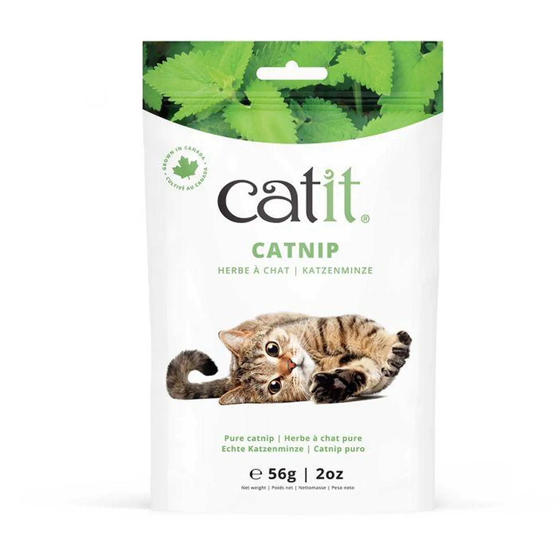 Catit Catnip 56g