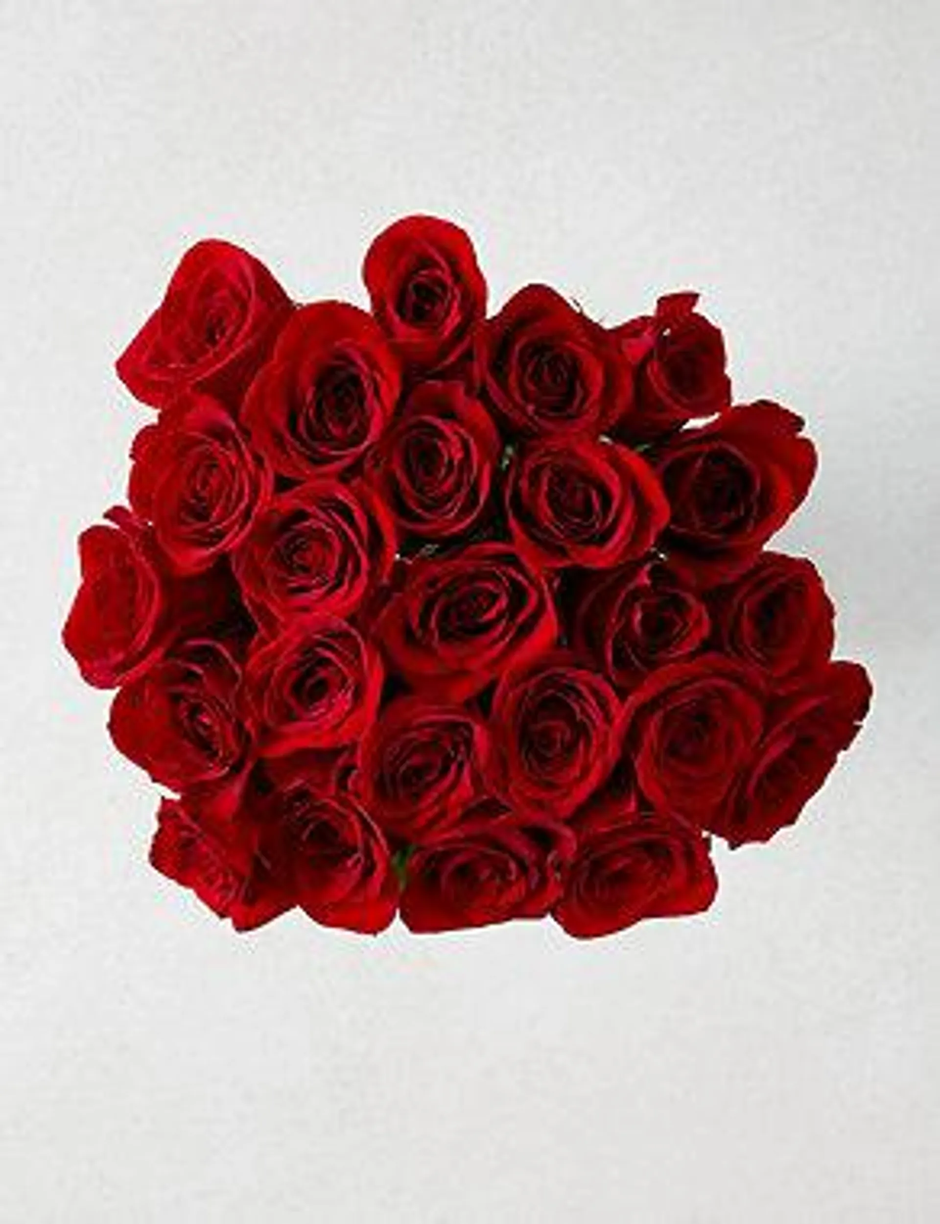 Two Dozen Freedom™ Roses Bouquet (Delivery from 9th February 2023)