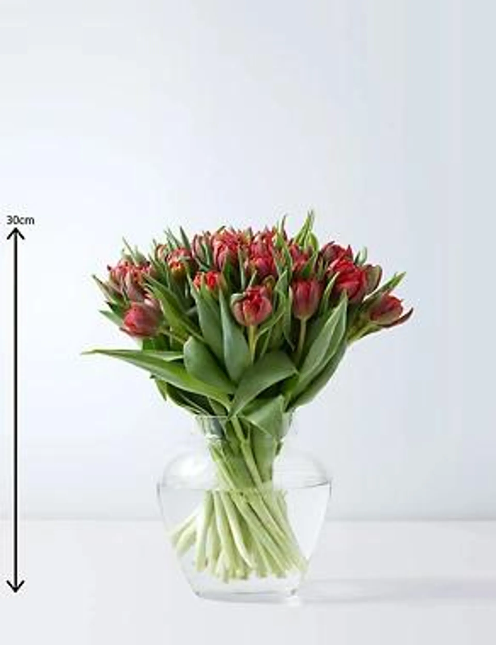 Double Red Tulips Bouquet (Delivery from 9th February 2023)