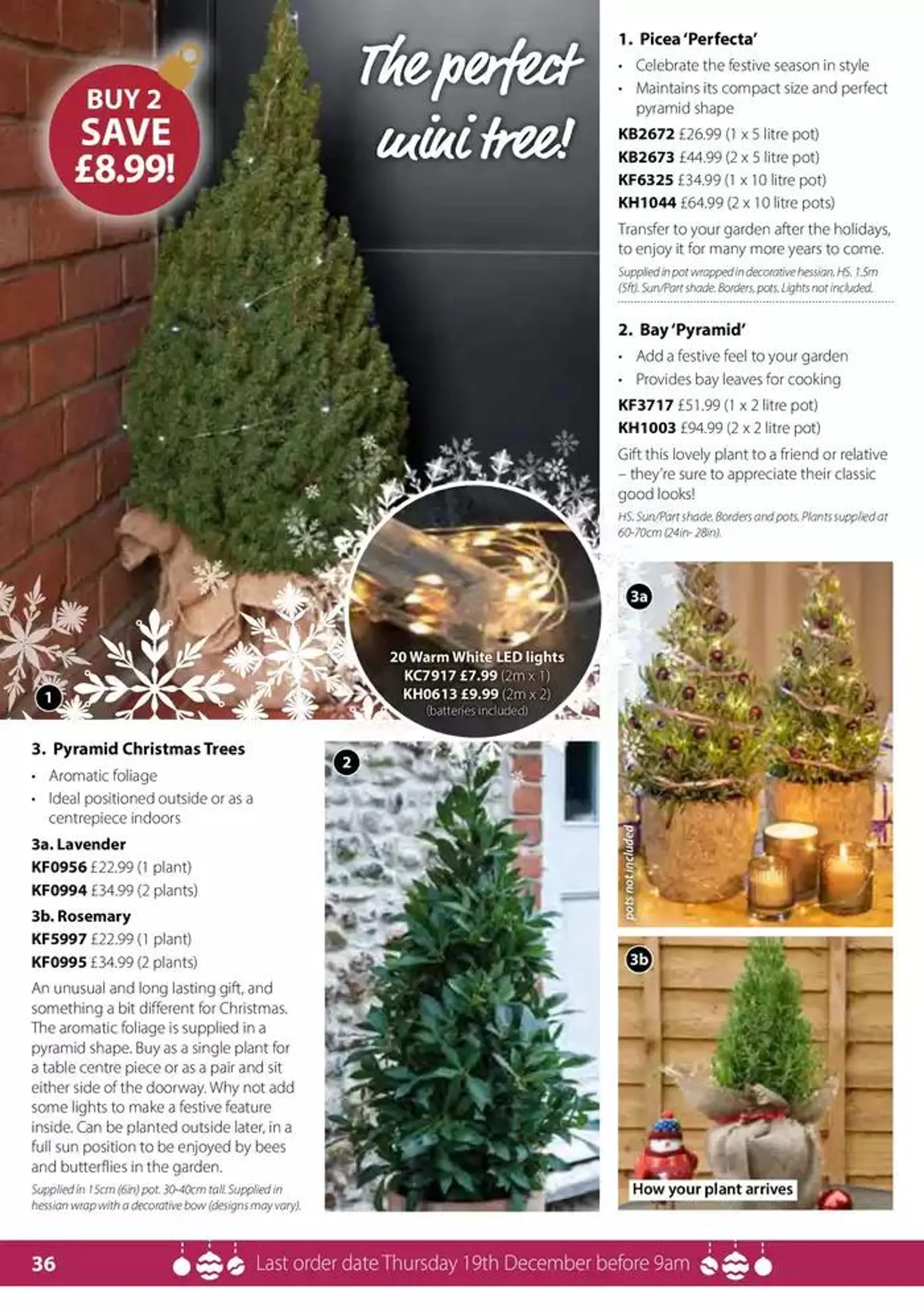 The Christmas Catalogue  from 5 November to 25 December 2024 - Catalogue Page 36