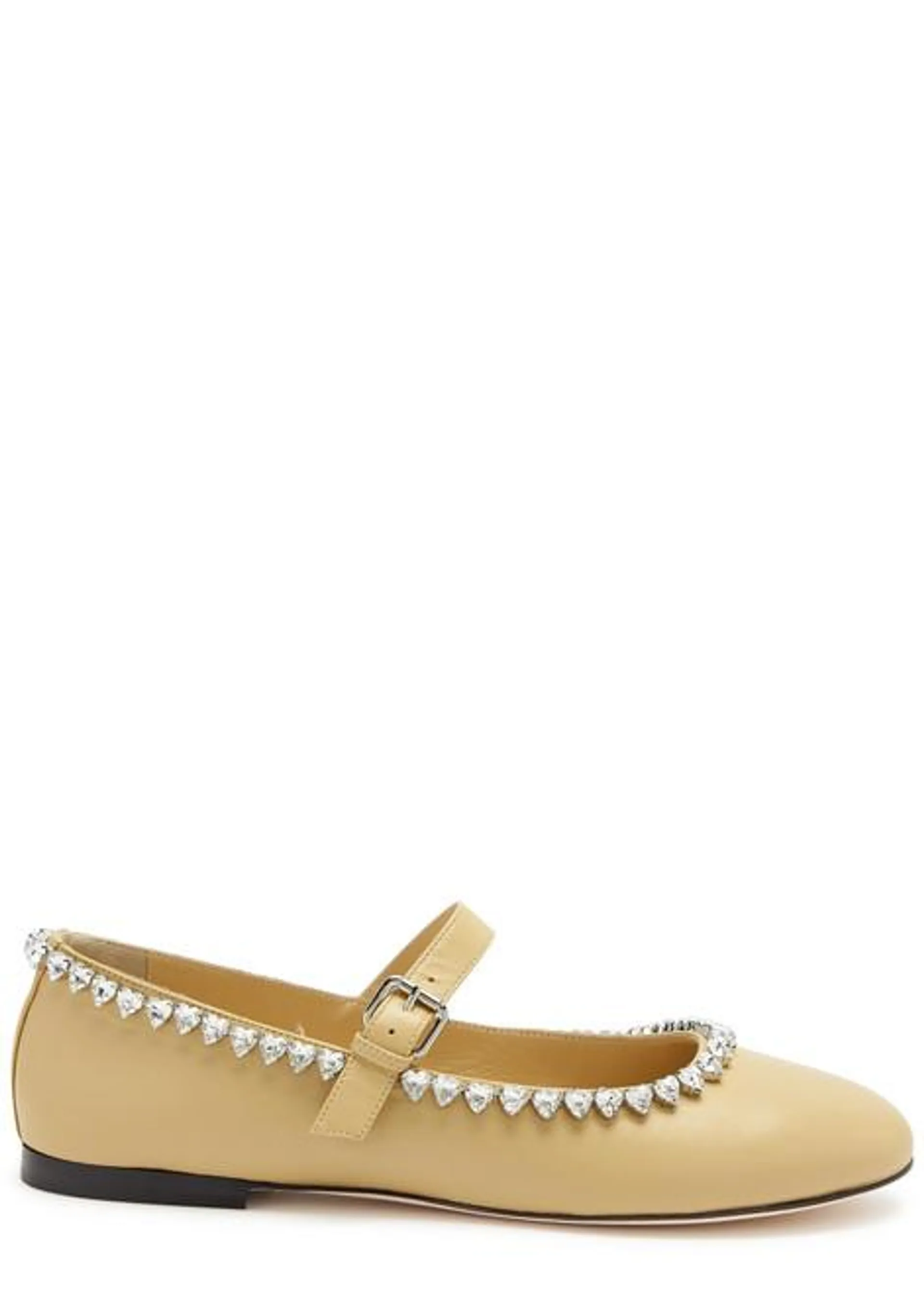 Audrey embellished leather ballet flats