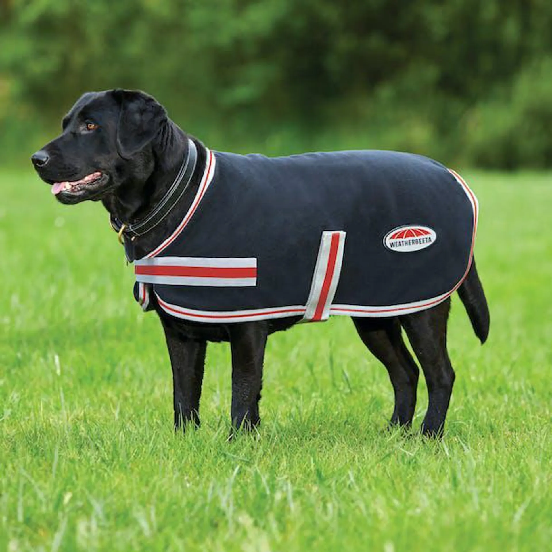 Weatherbeeta Therapy Tec Fleece Dog Jacket