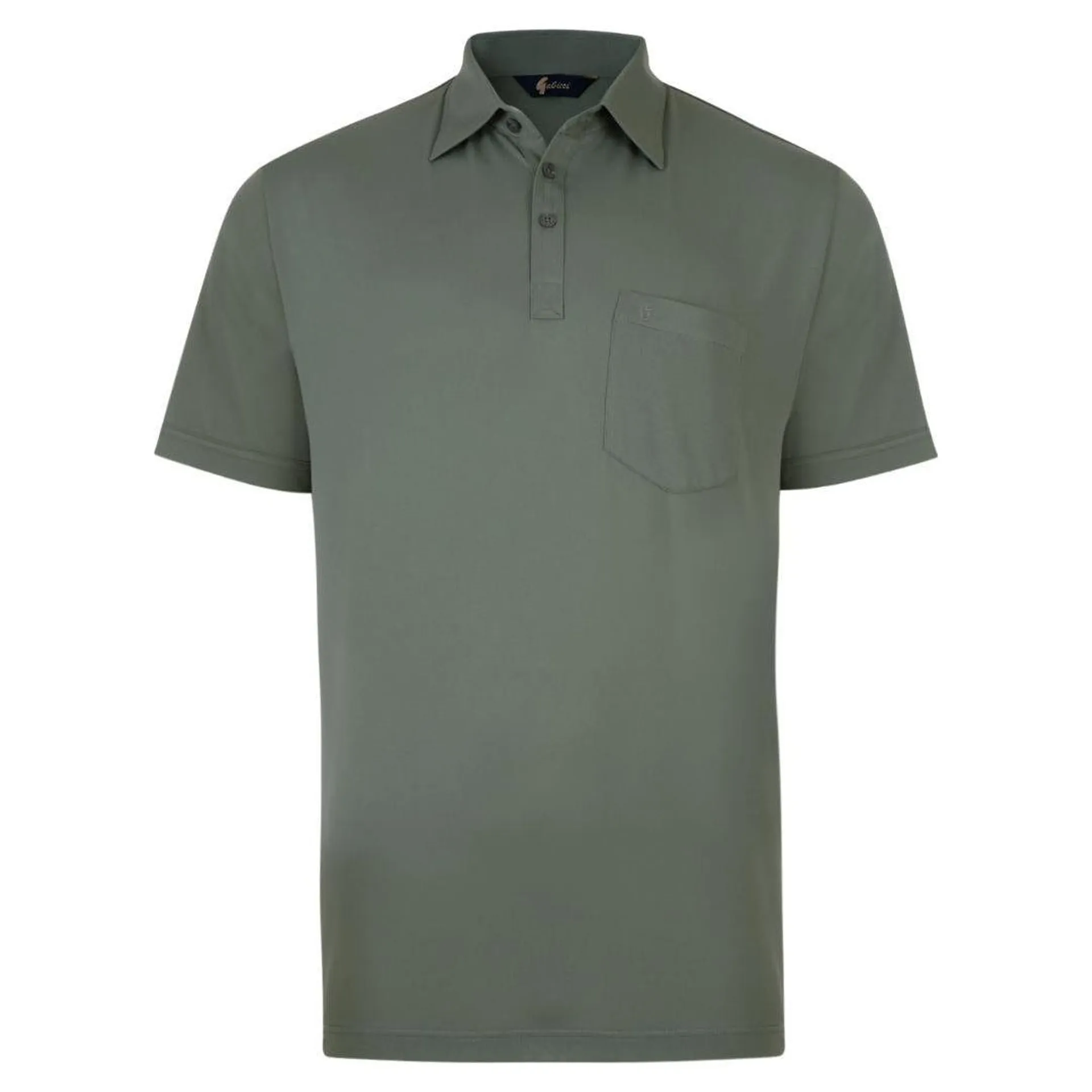 Gabicci Plain Jersey Polo Shirt - Sage