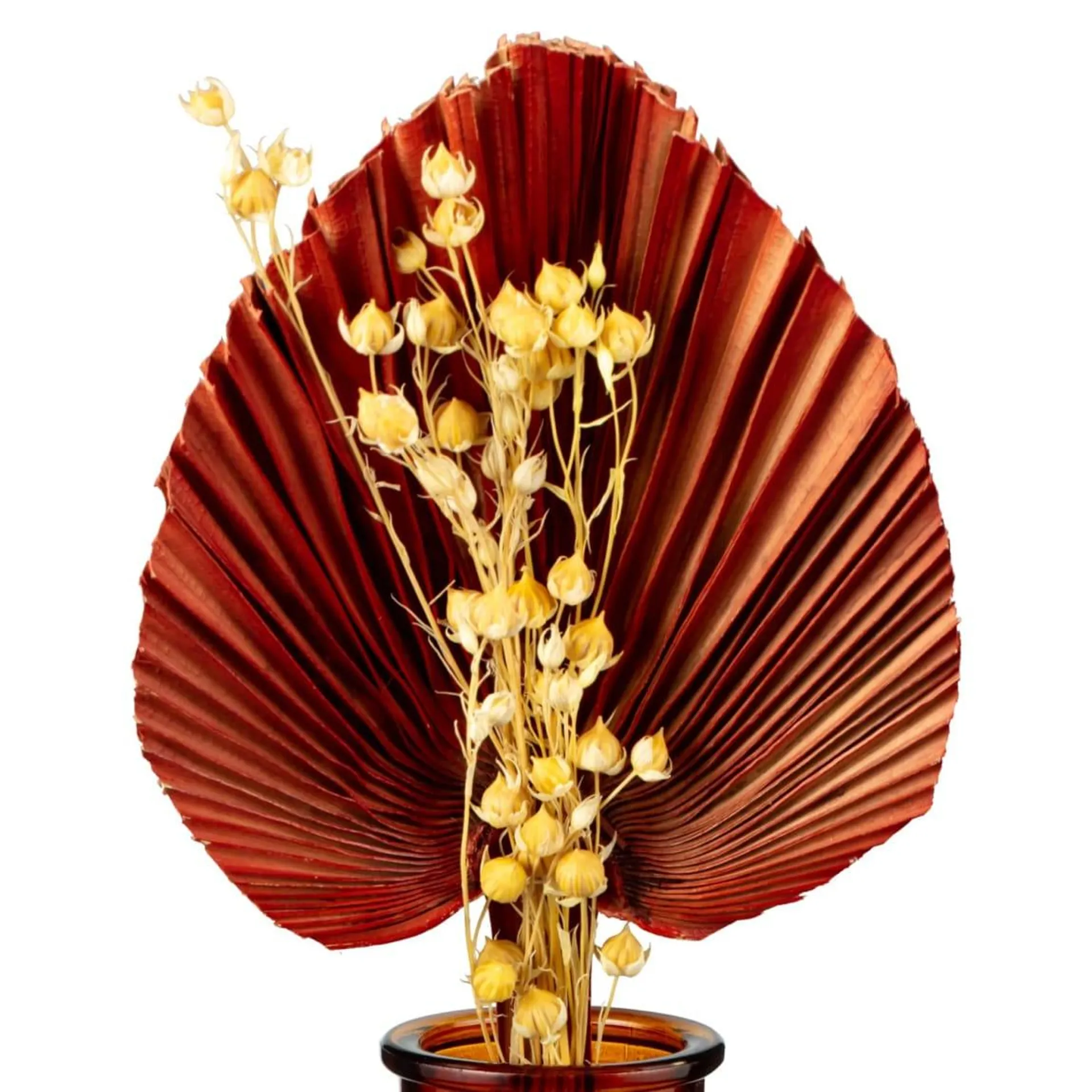 Fan Leaf Arrangement