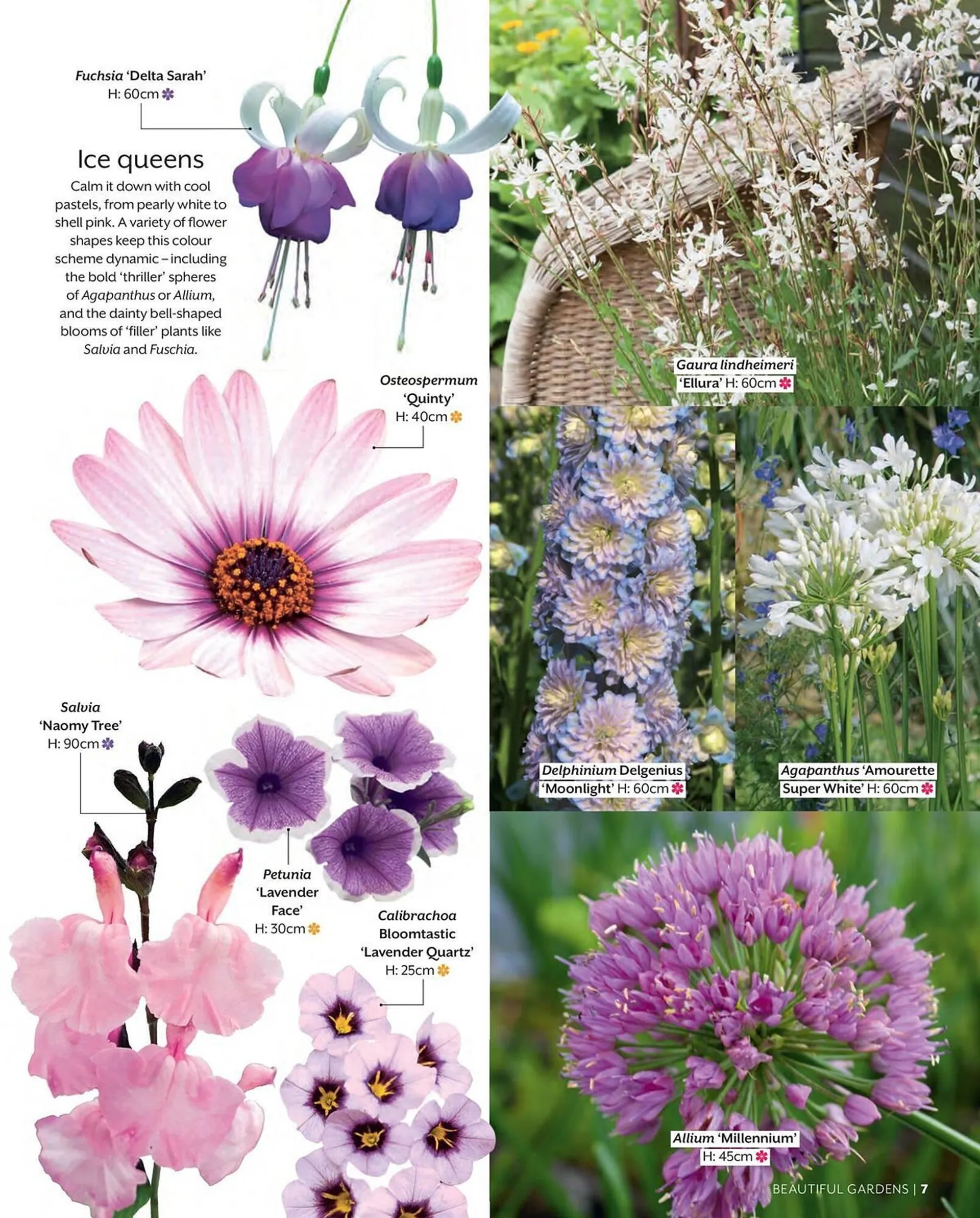 Frosts Garden Centres leaflet - 7