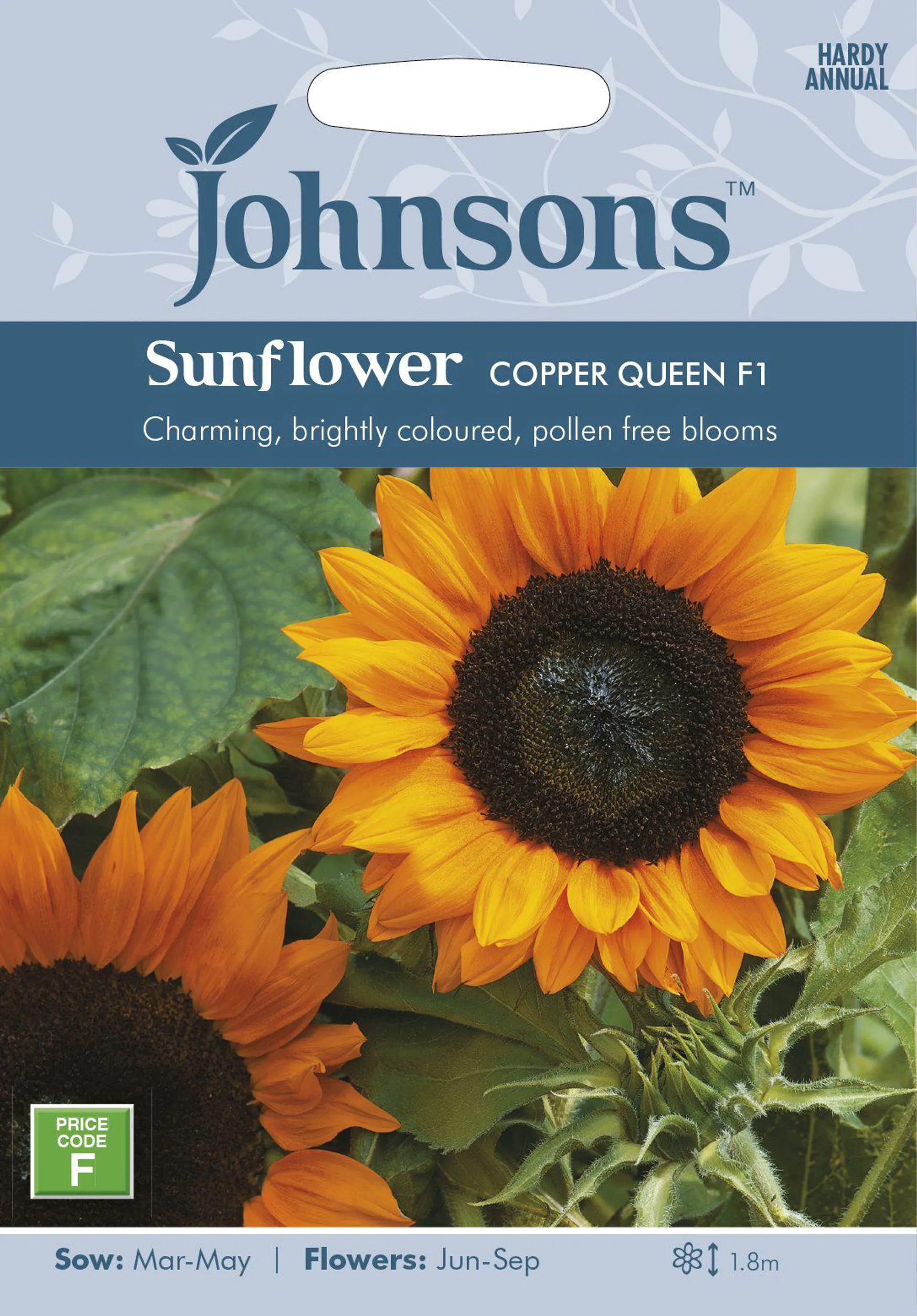 Johnsons Sunflower Copper Queen Seeds