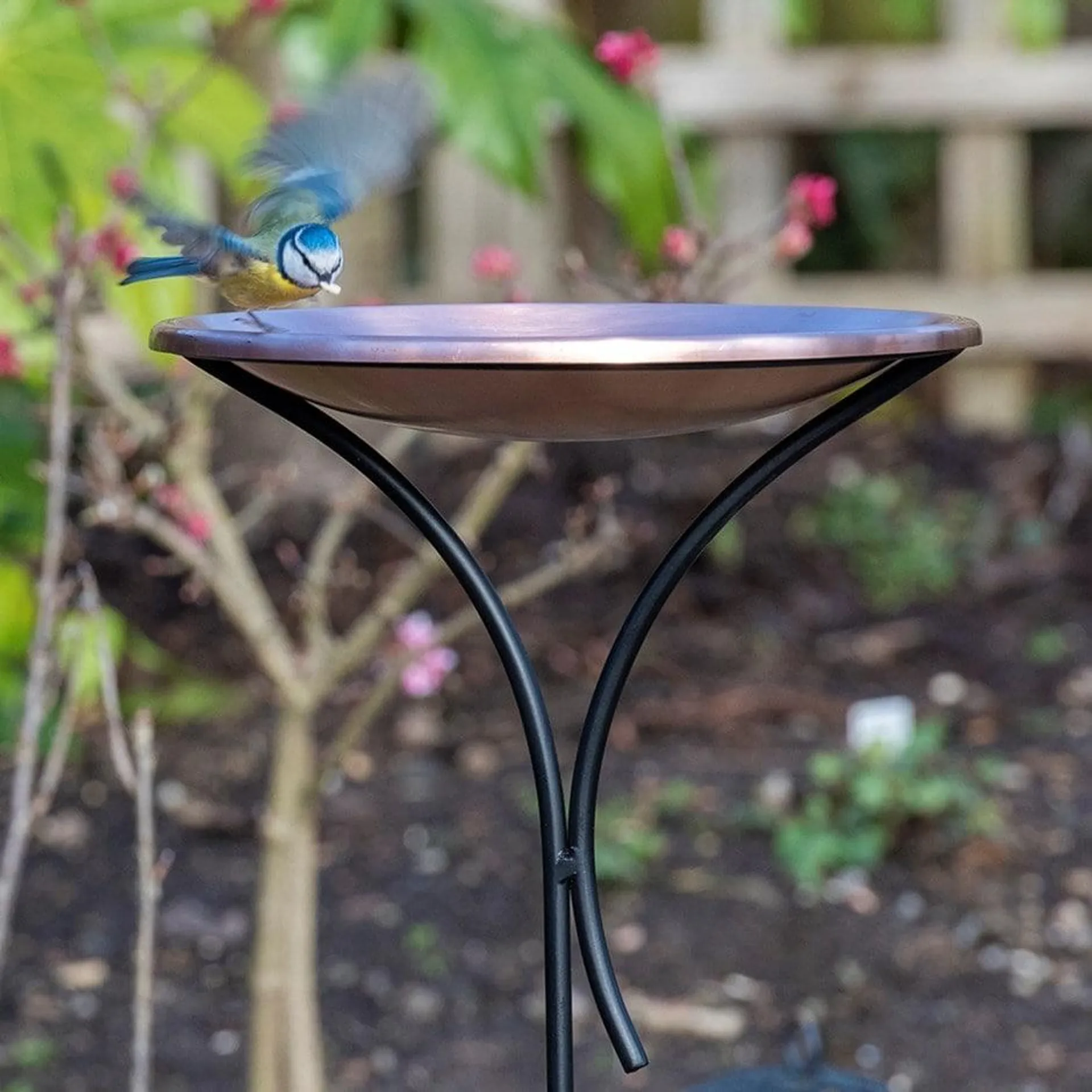 Brushed copper bird bowl on a stake