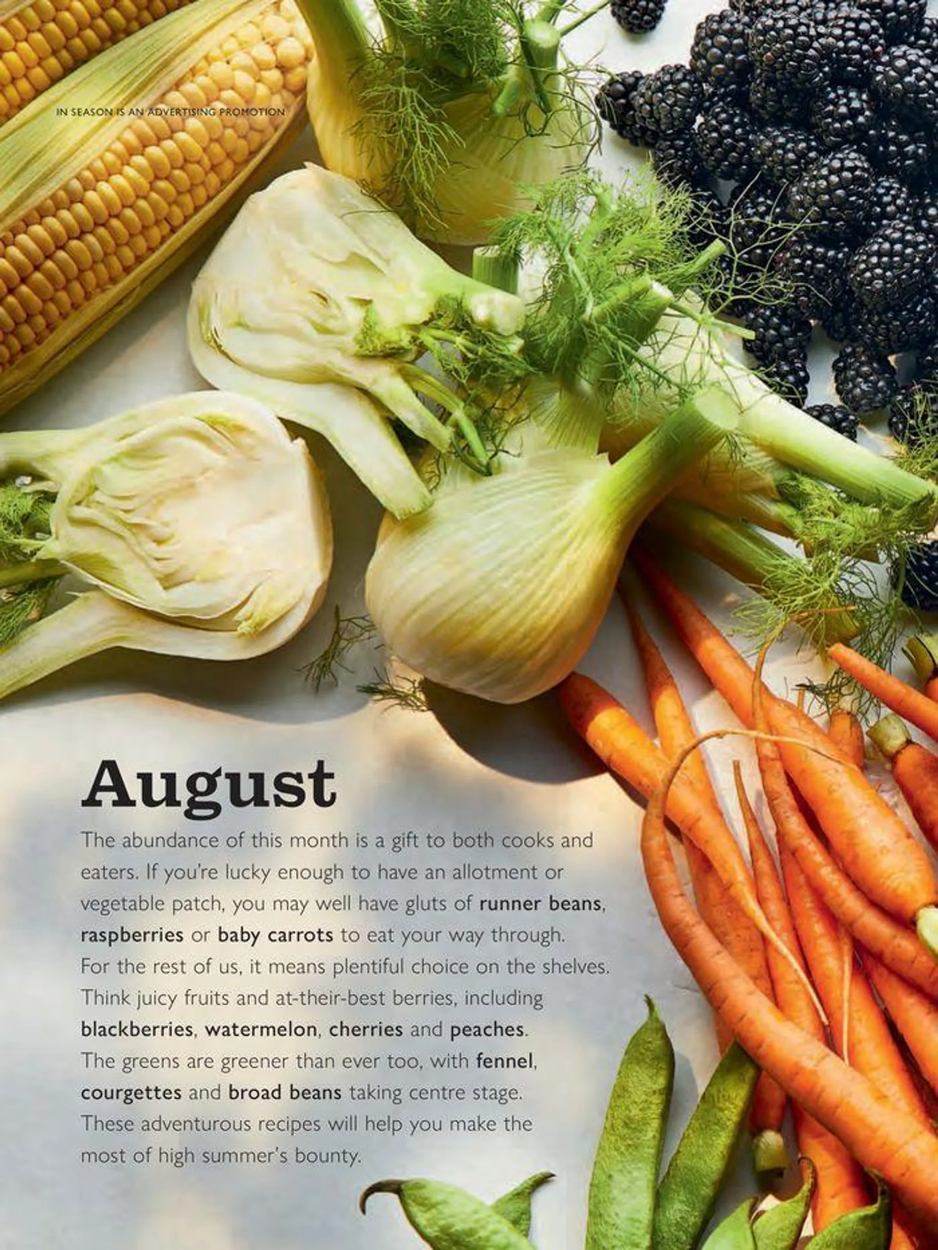 August 2024 from 1 August to 31 August 2024 - Catalogue Page 20