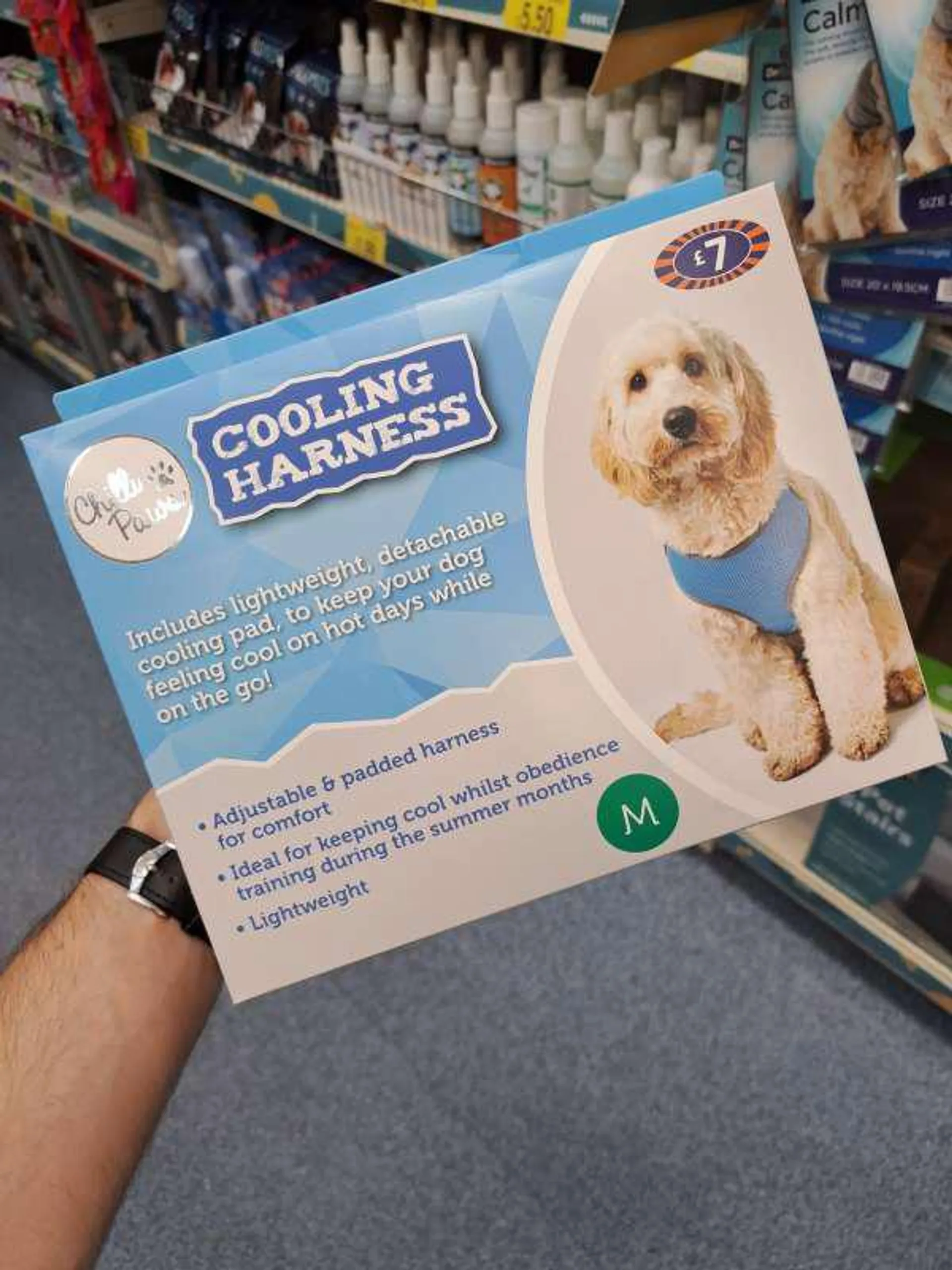 B&amp;M Stores offer  - Sales products - Paws. Page 3.