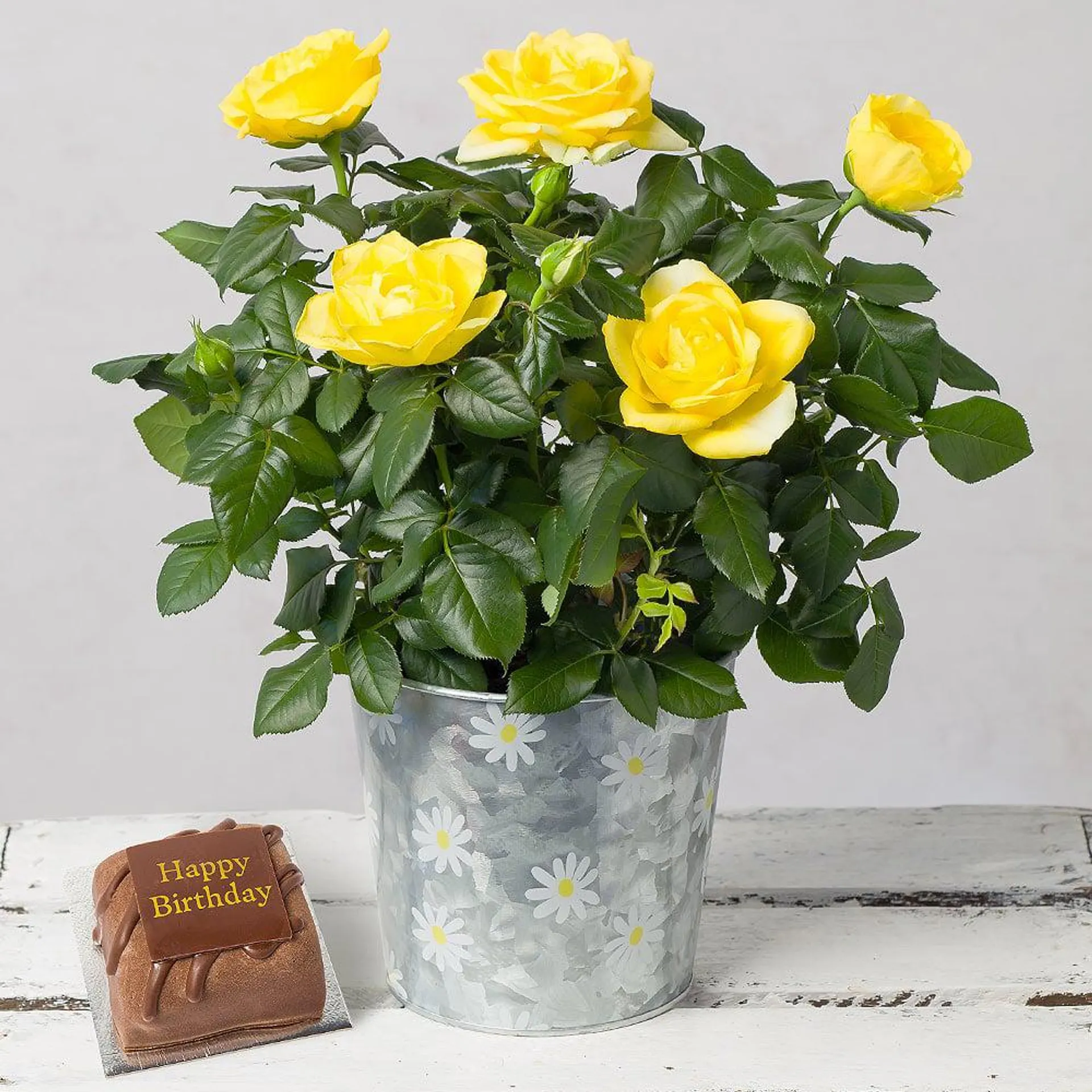 Yellow Rose Birthday Gift