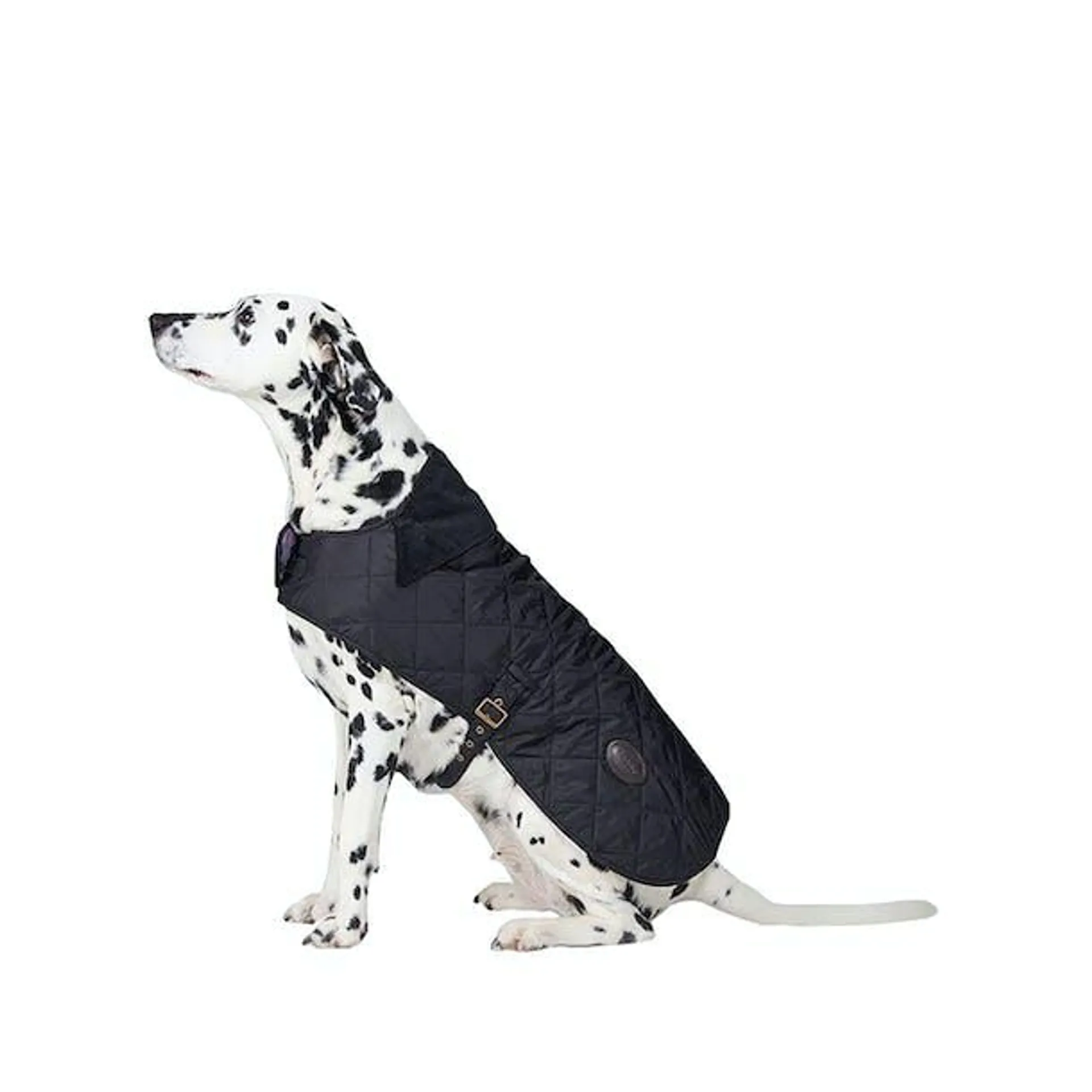Barbour Quilted Dog Jacket