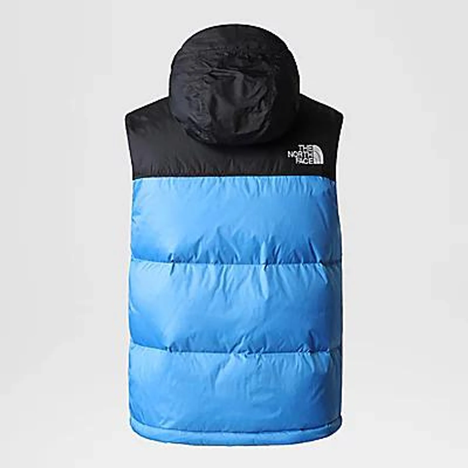 Men's 1996 Retro Nuptse Gilet