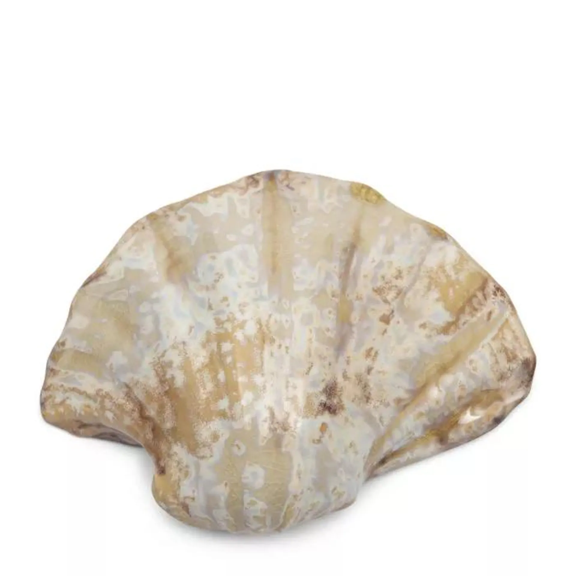 Decorative shell Loulé, M