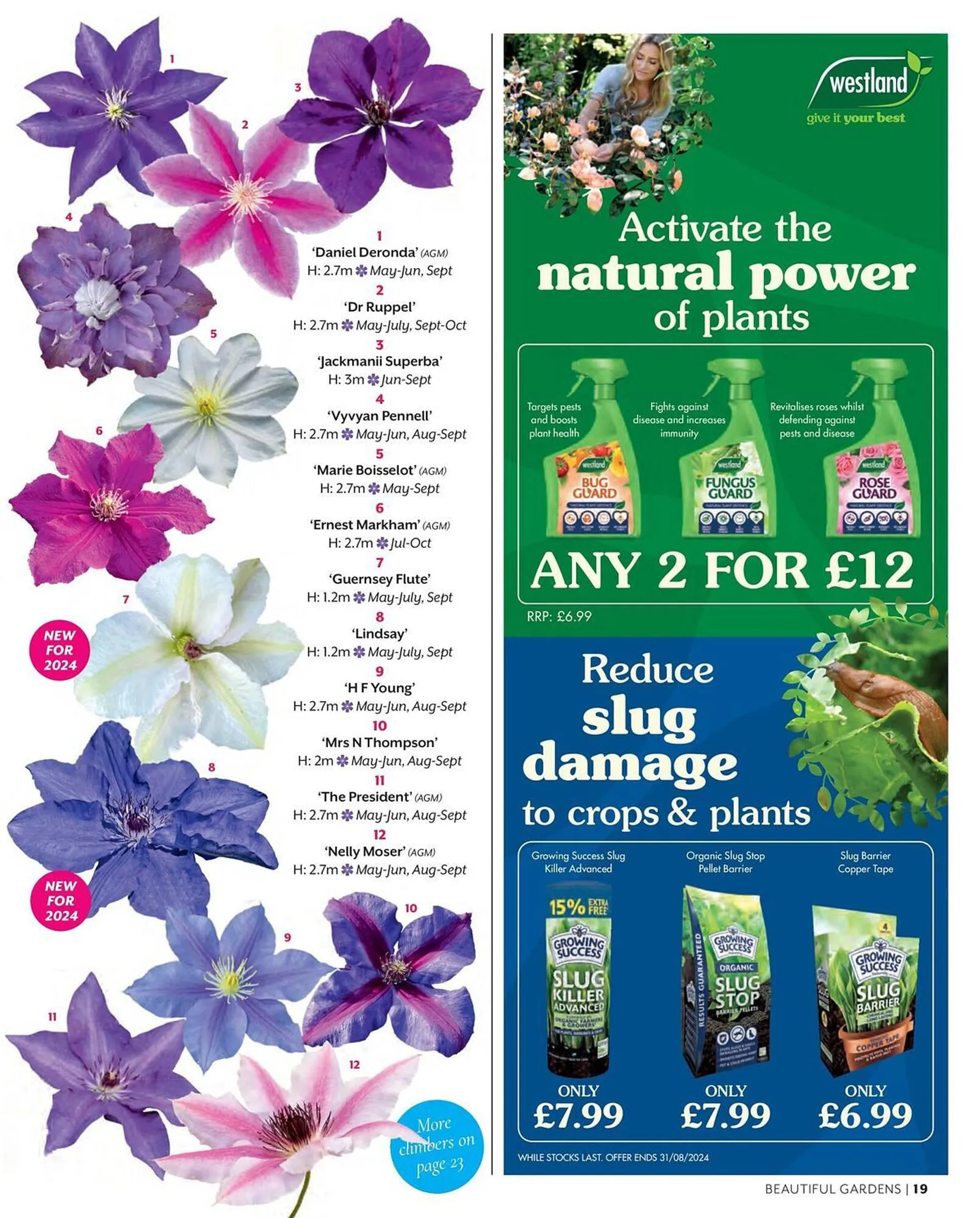 Frosts Garden Centres leaflet - 19