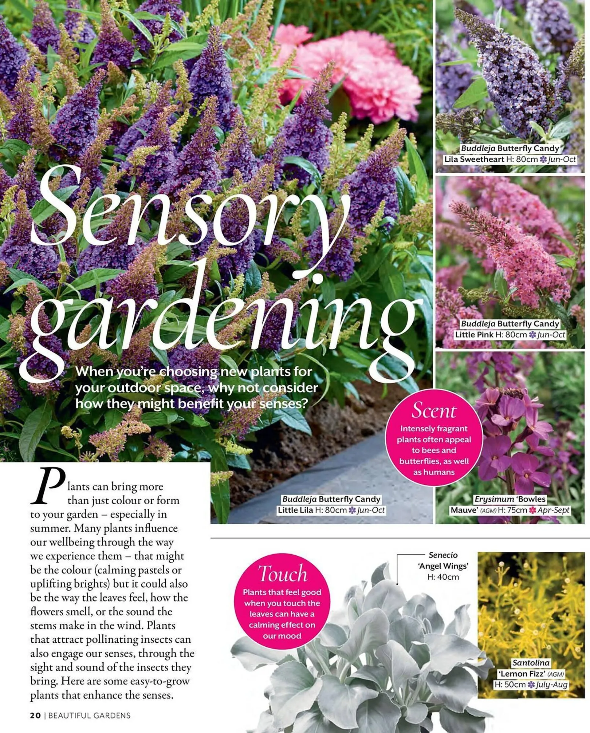 Frosts Garden Centres leaflet - 20