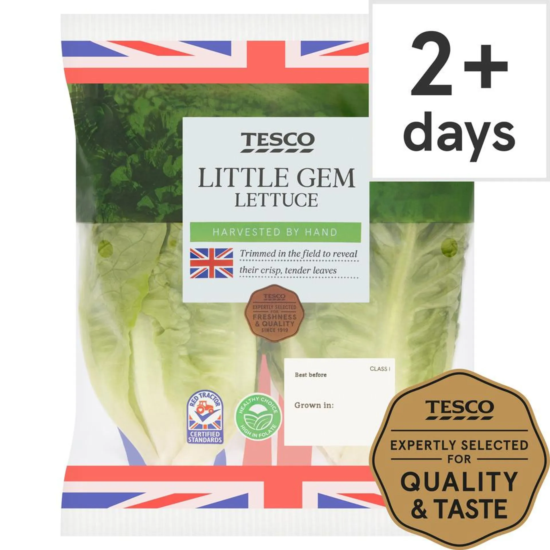 Tesco Little Gem Lettuce Twin Pack