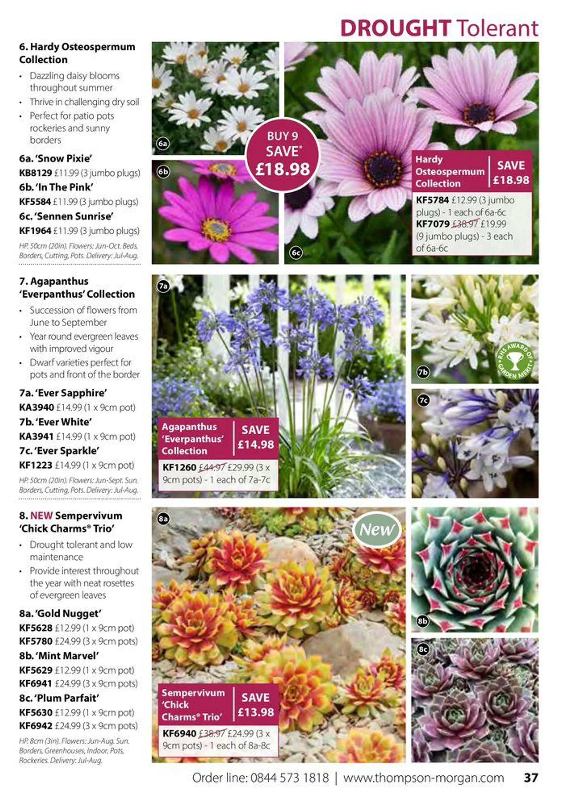 Autumn Catalogue from 1 September to 30 November 2024 - Catalogue Page 37