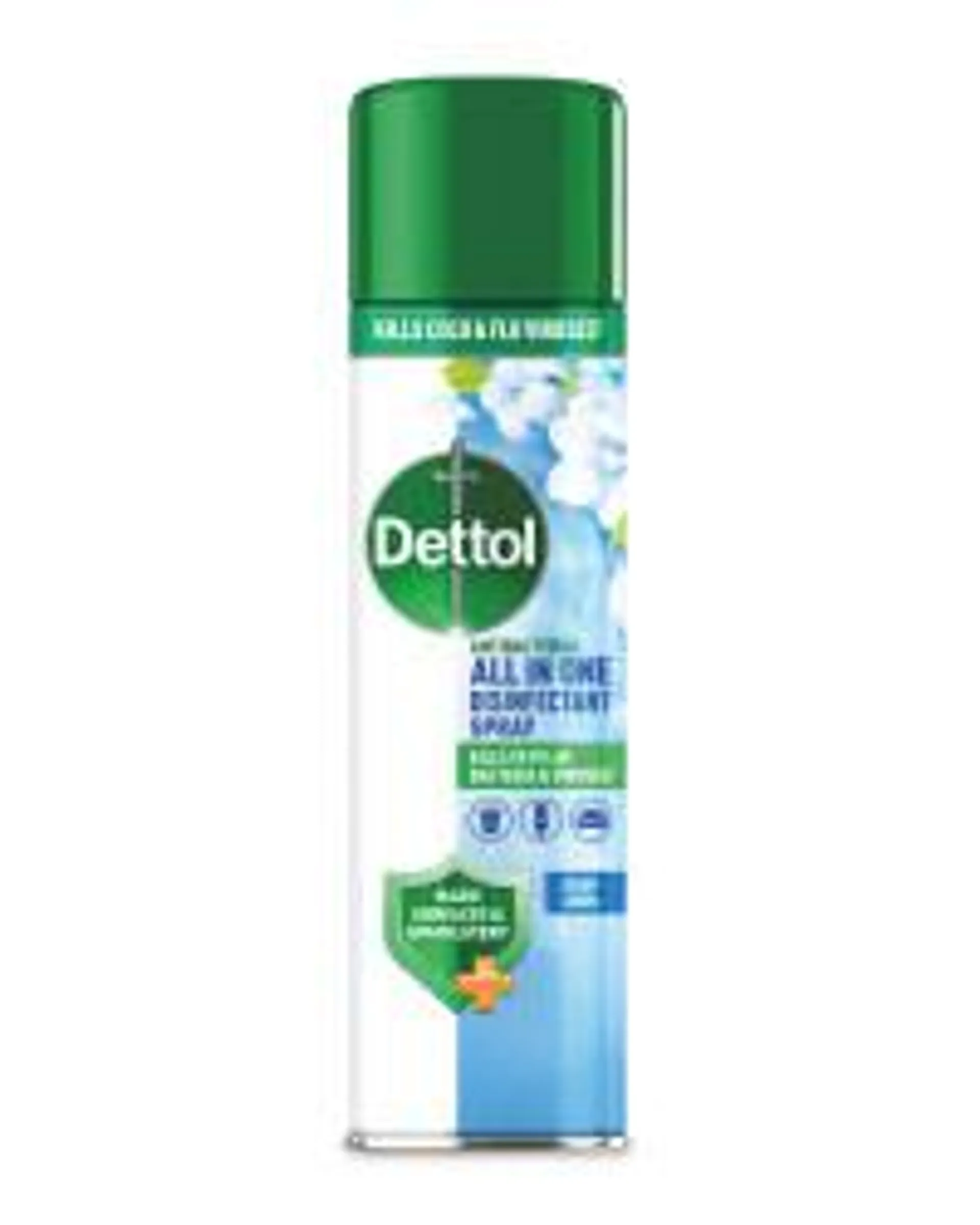 Dettol All In 1 Spray 300ml