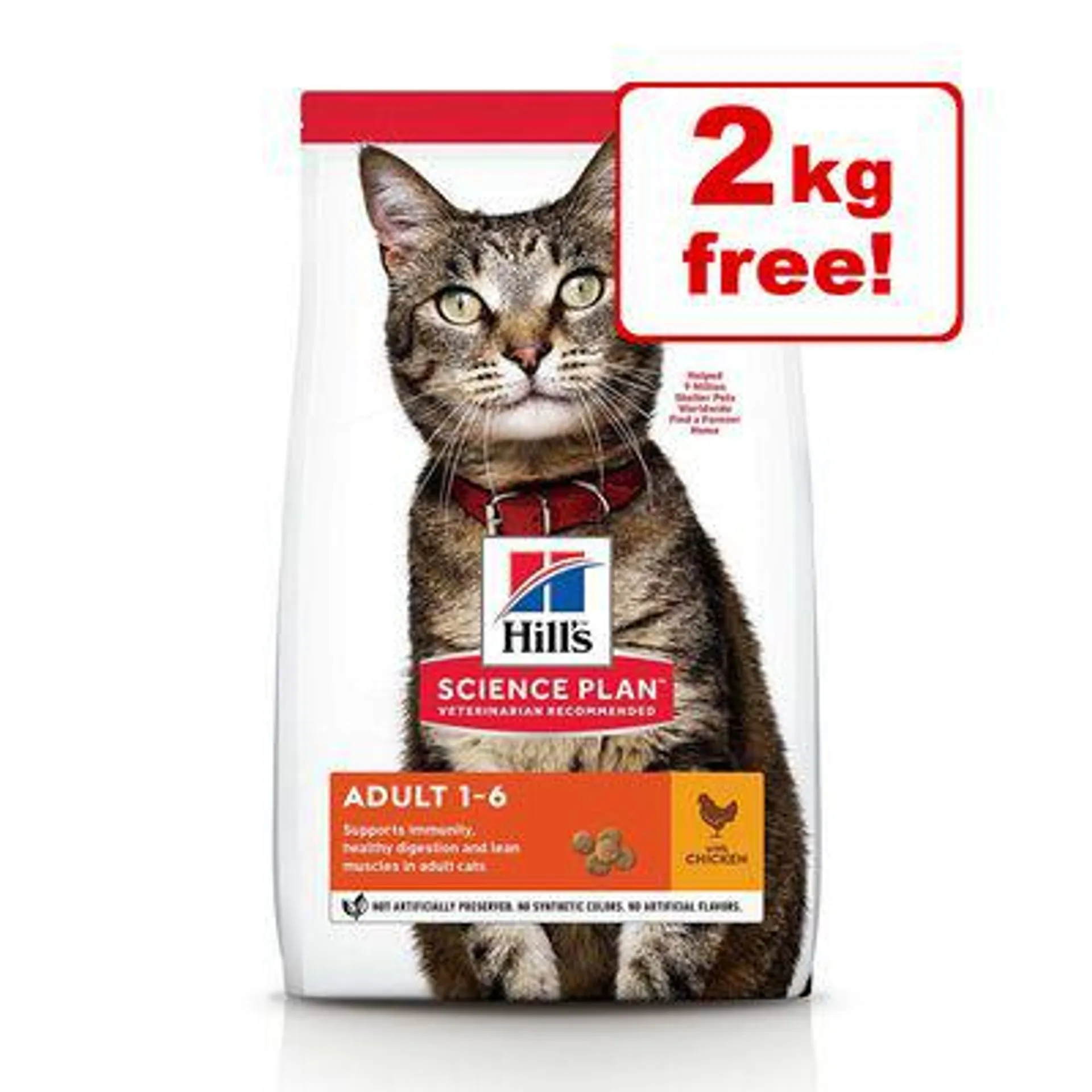 10kg Hill's Science Plan Dry Cat Food - 8kg + 2kg Free! *