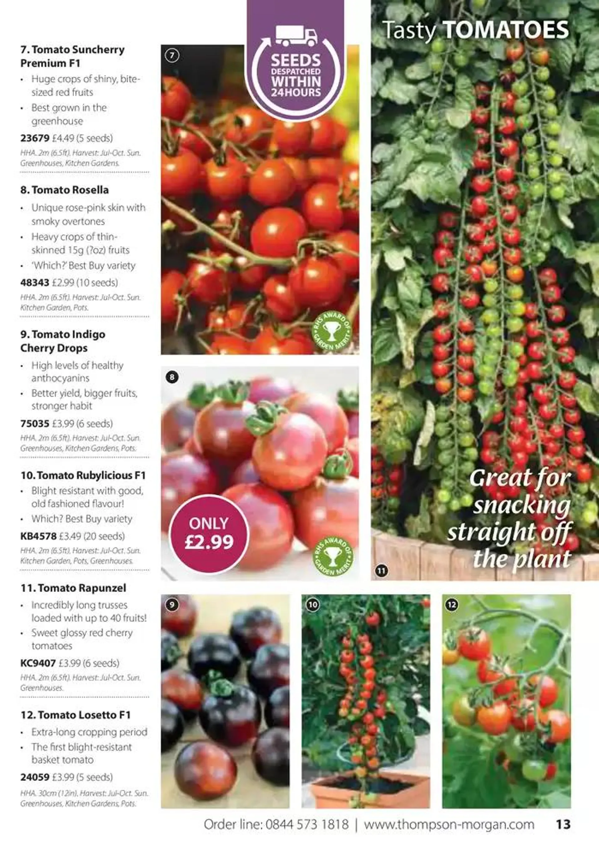 Seed Catalogue from 5 November to 31 December 2024 - Catalogue Page 13