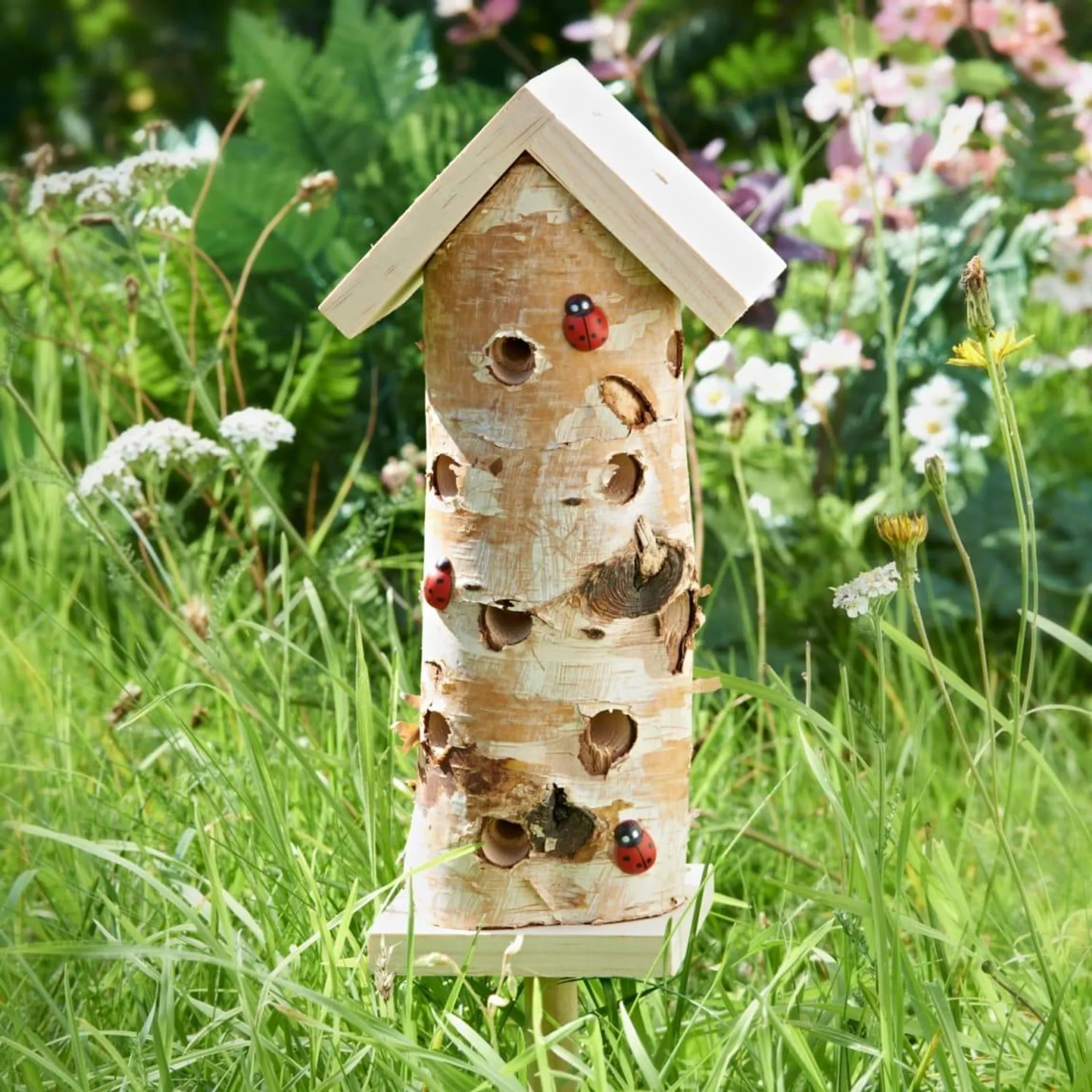 Wooden Ladybird Insect House