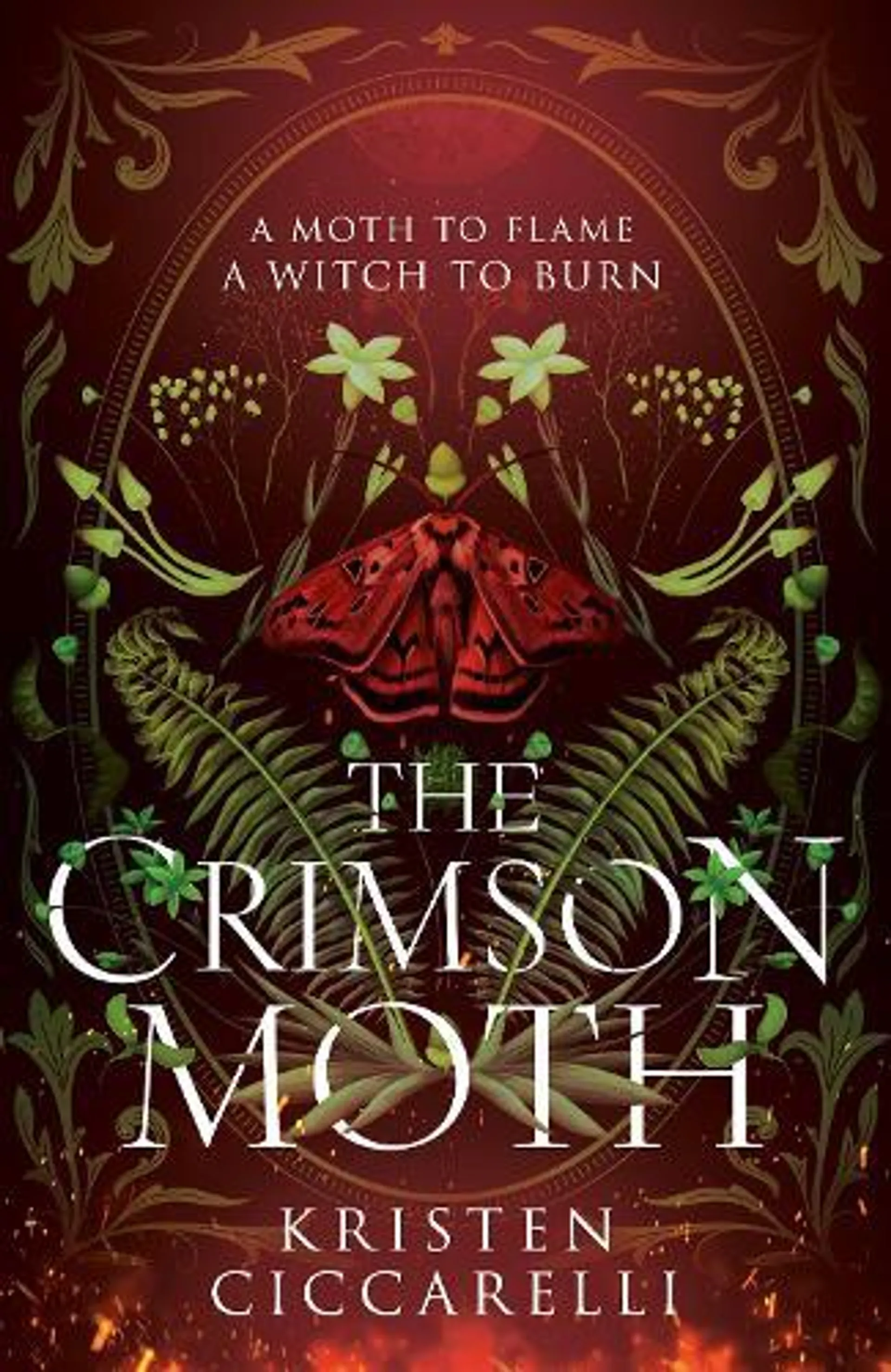 The Crimson Moth - The Crimson Moth Book 1 (Hardback)