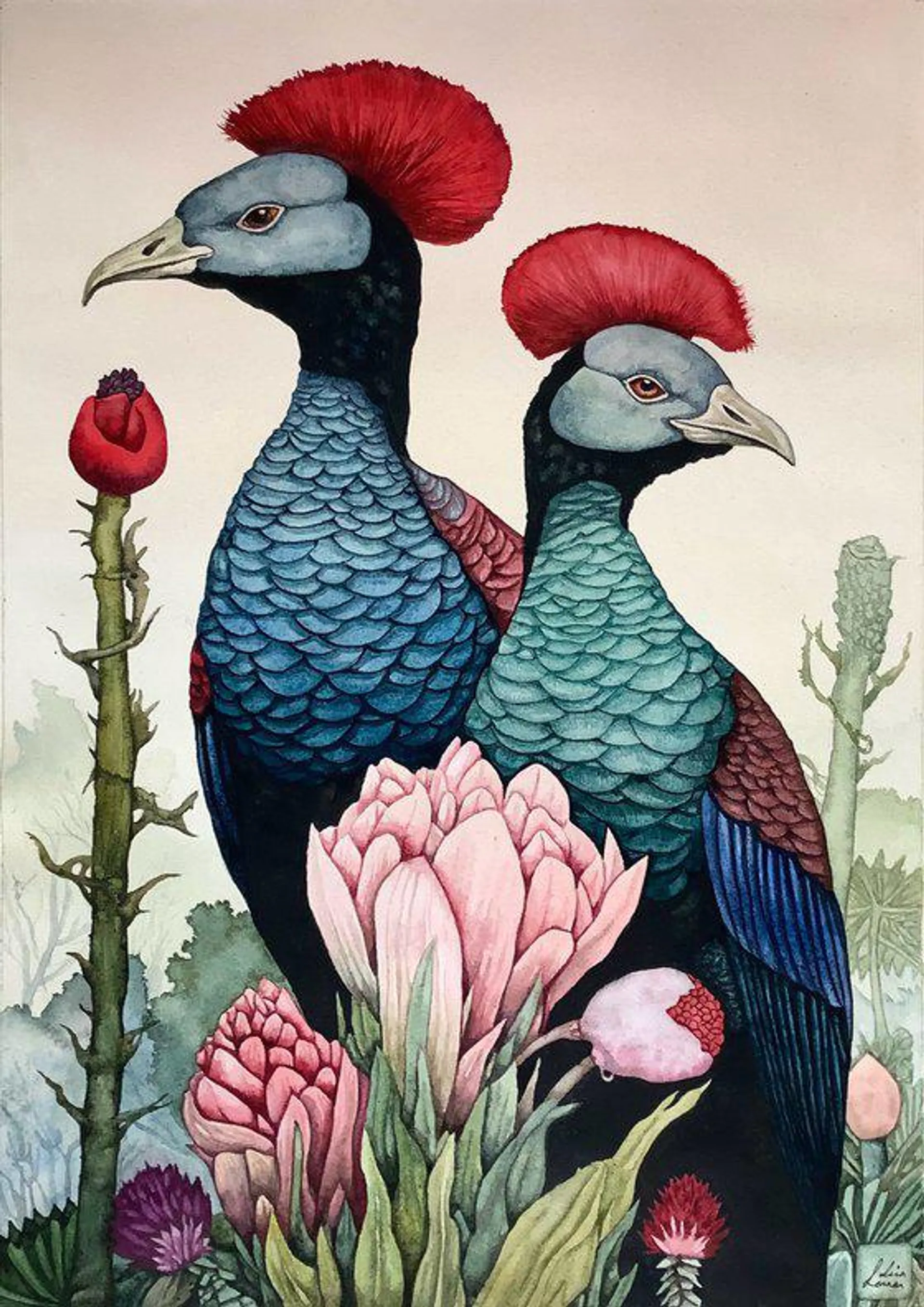 Red Crested Birds (2024)