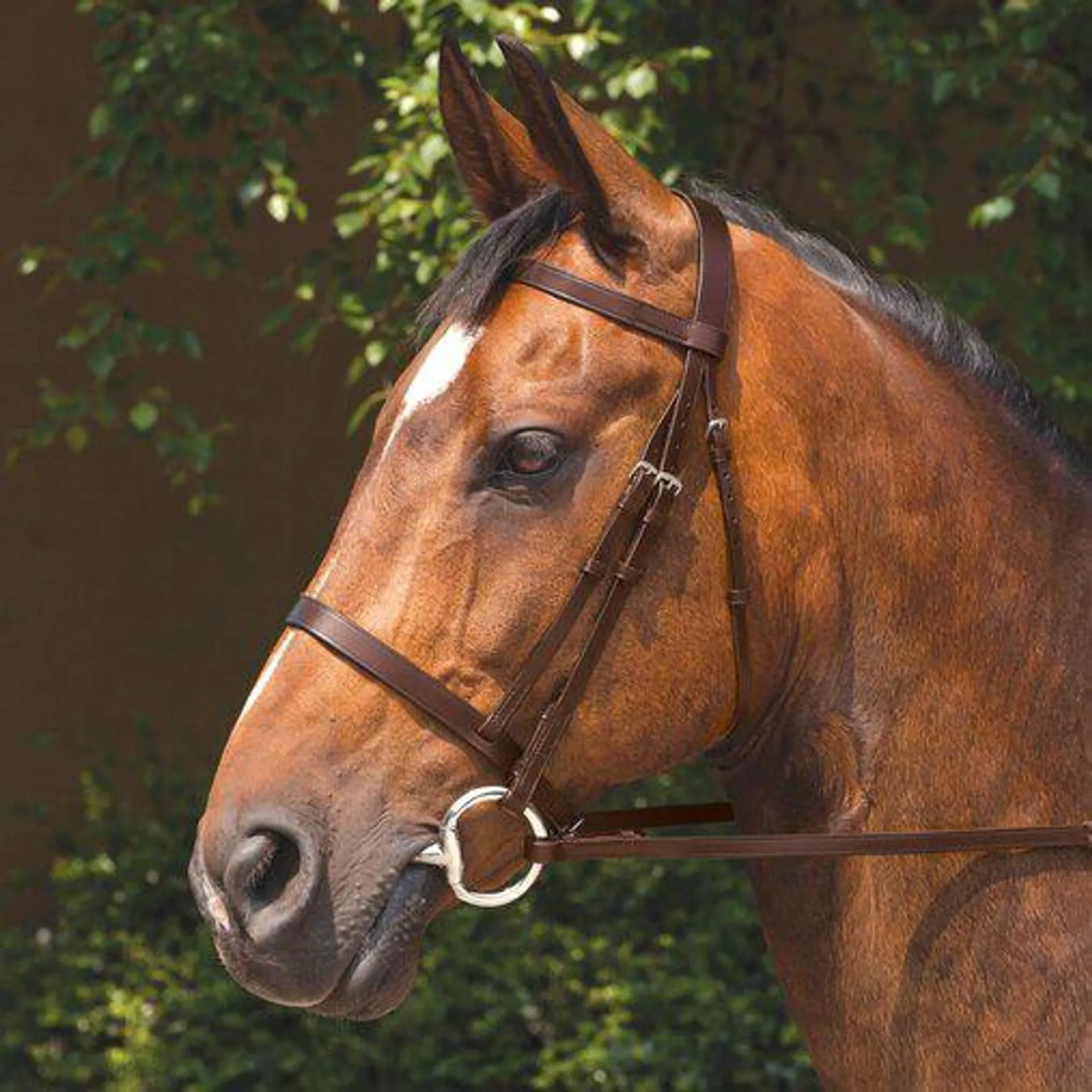 Requisite Snaffle Bridle with Reins
