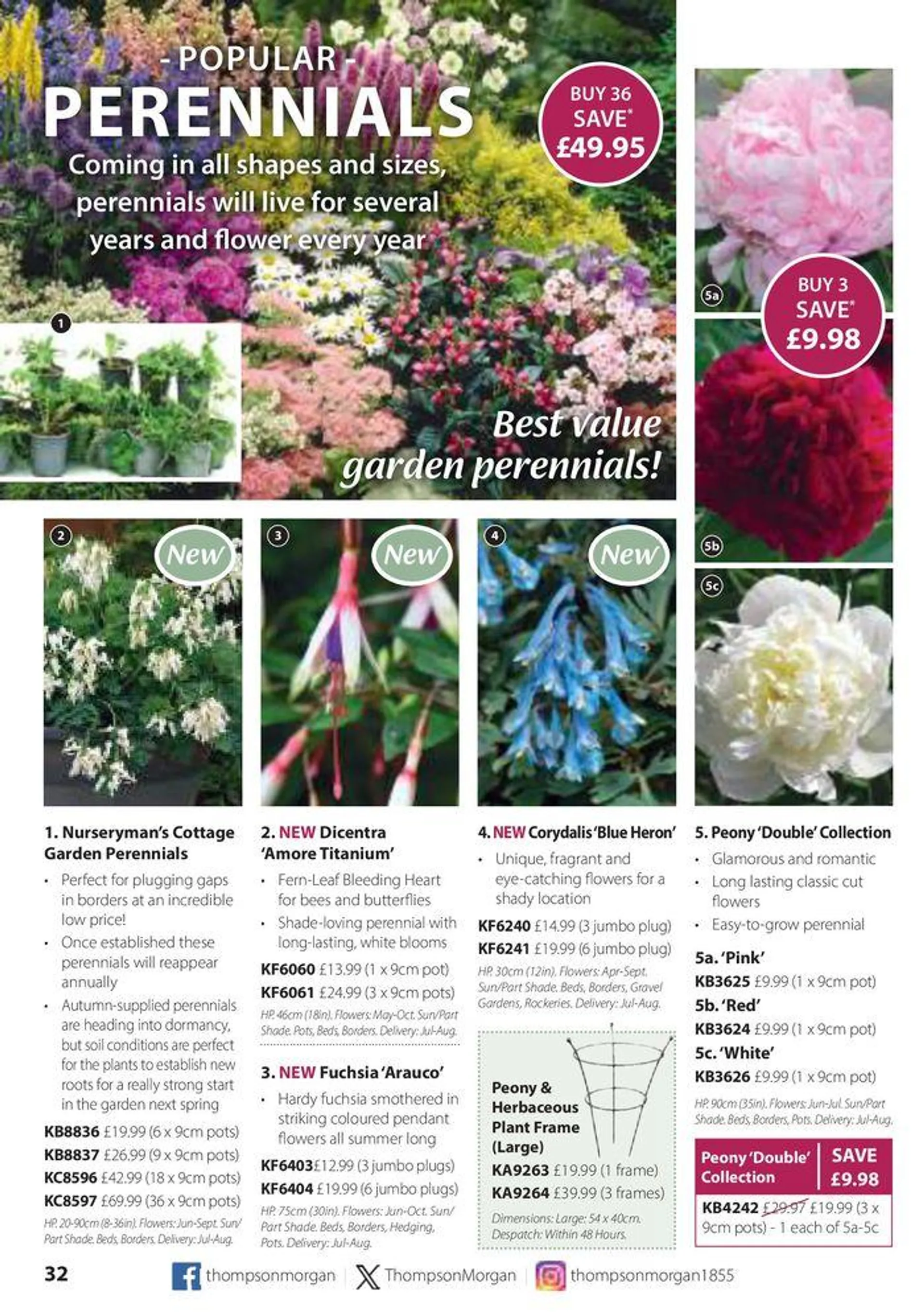 Autumn Catalogue from 1 September to 30 November 2024 - Catalogue Page 32