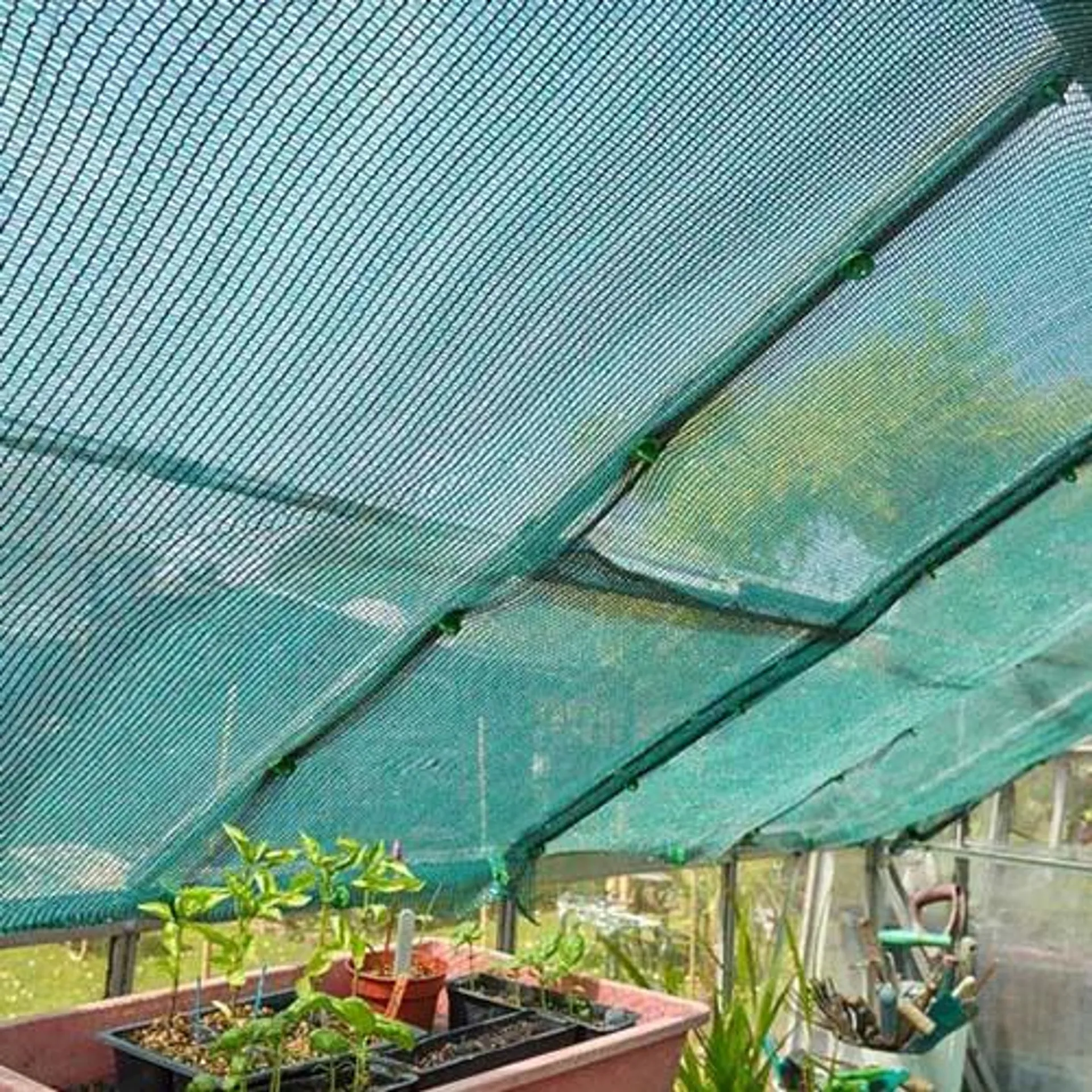 Shade Screen, Green, 1.5m x 5m