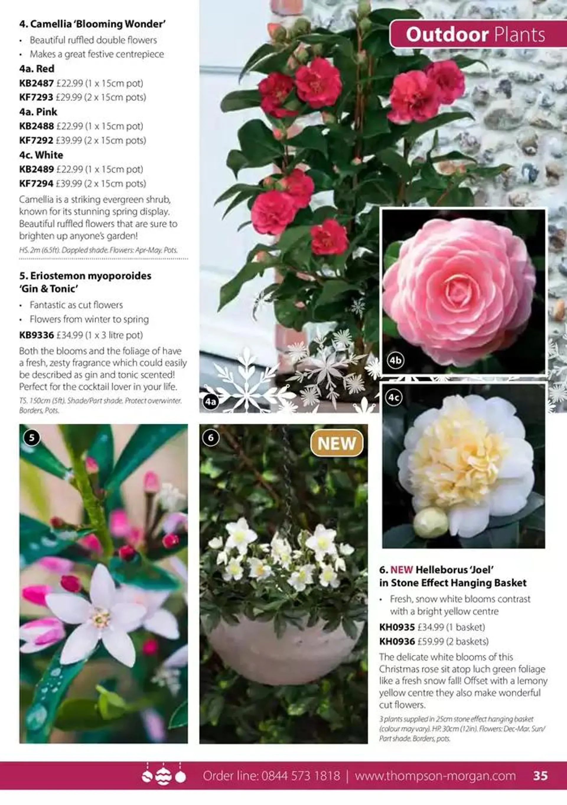 The Christmas Catalogue  from 5 November to 25 December 2024 - Catalogue Page 35